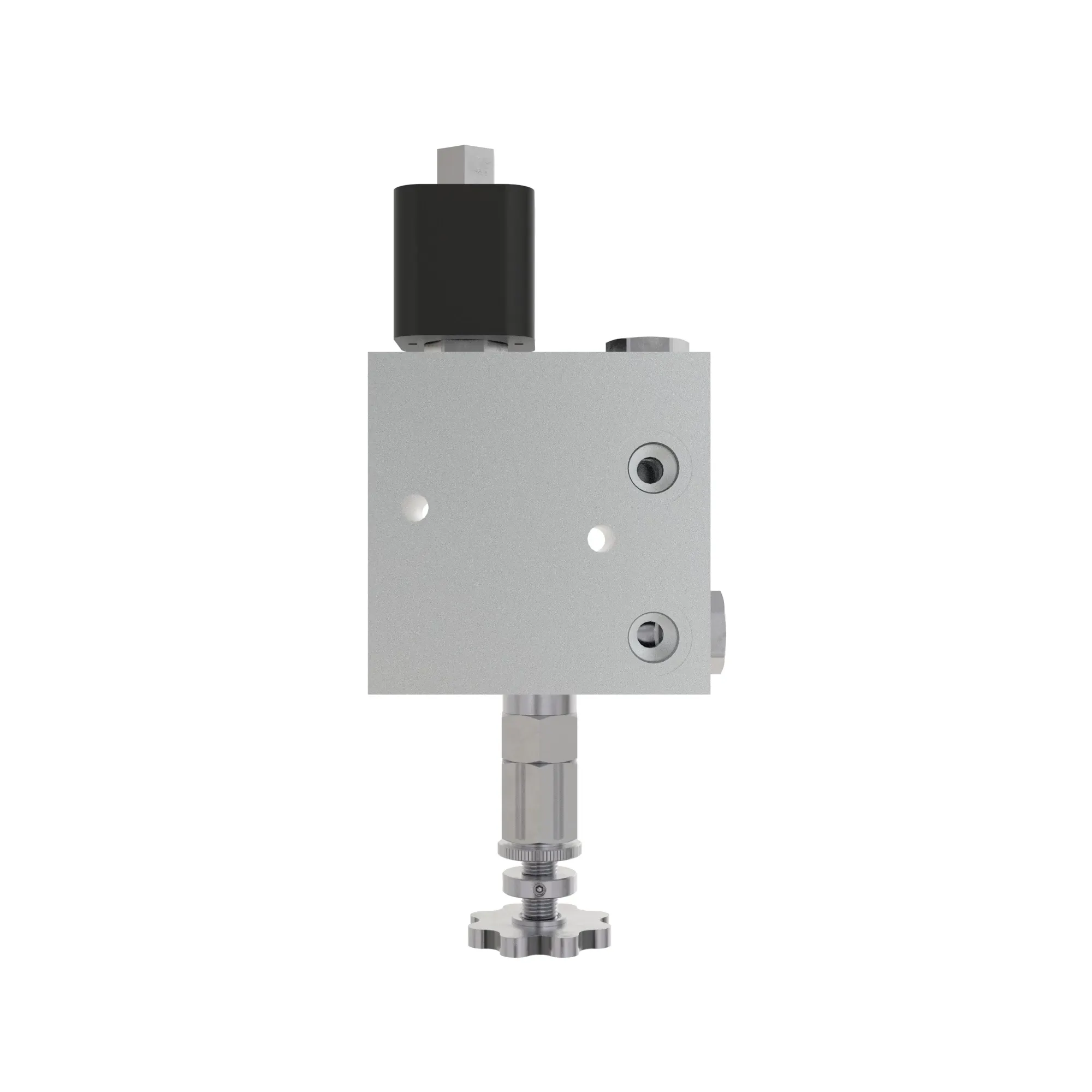 VALVE DENSITE V4X1M