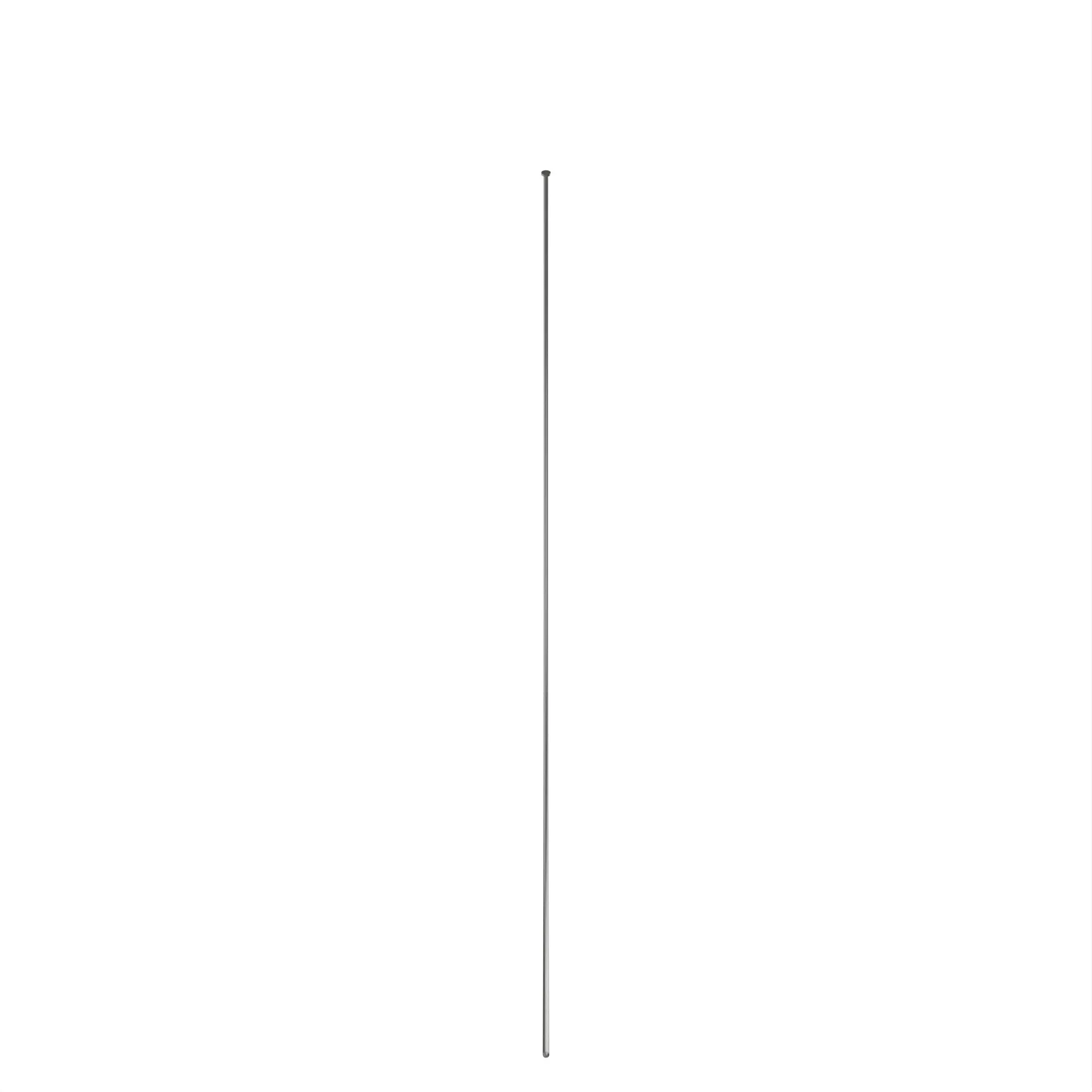 NAIL