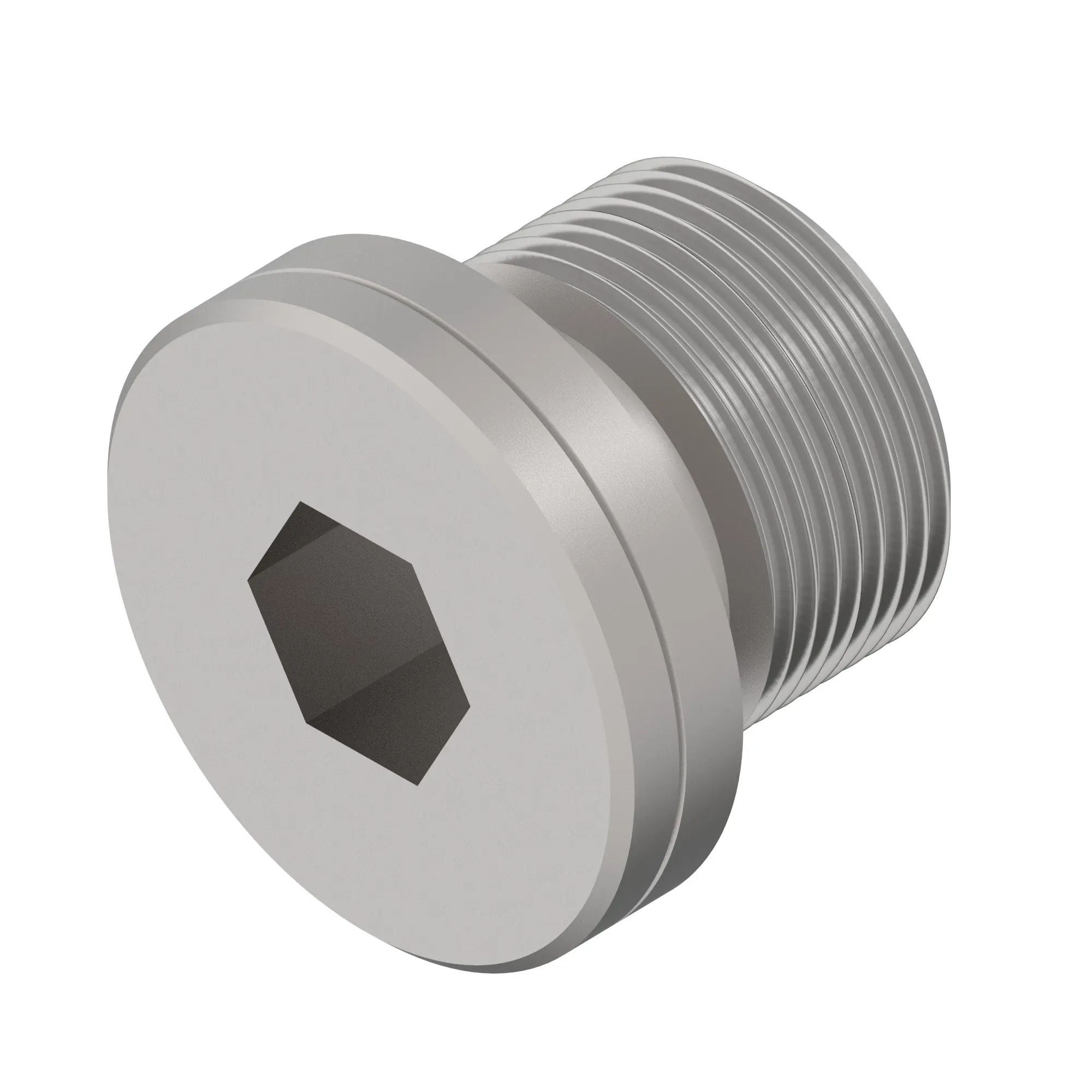 Drain Plug