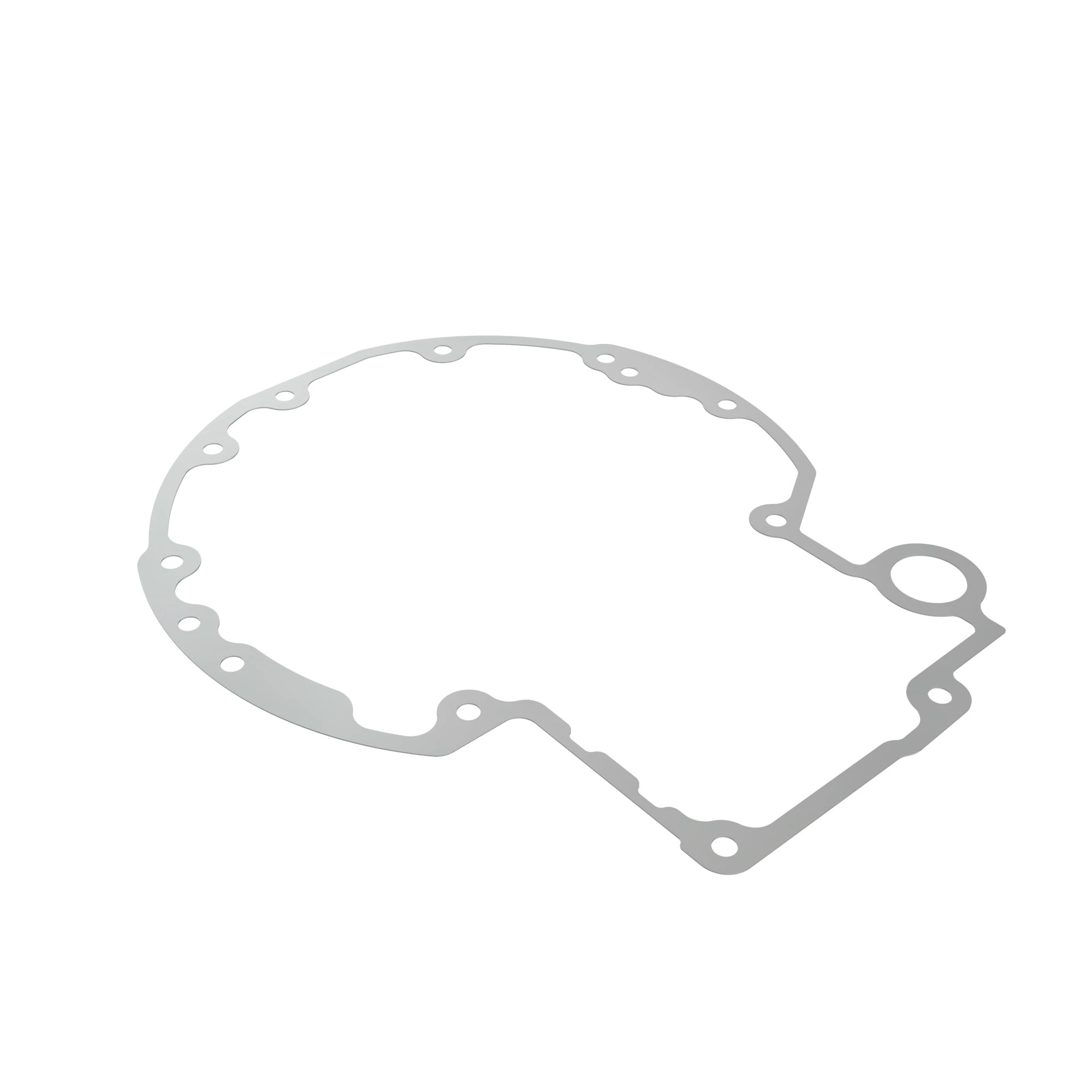R99284: PowerShift™ Transmission Case Gasket