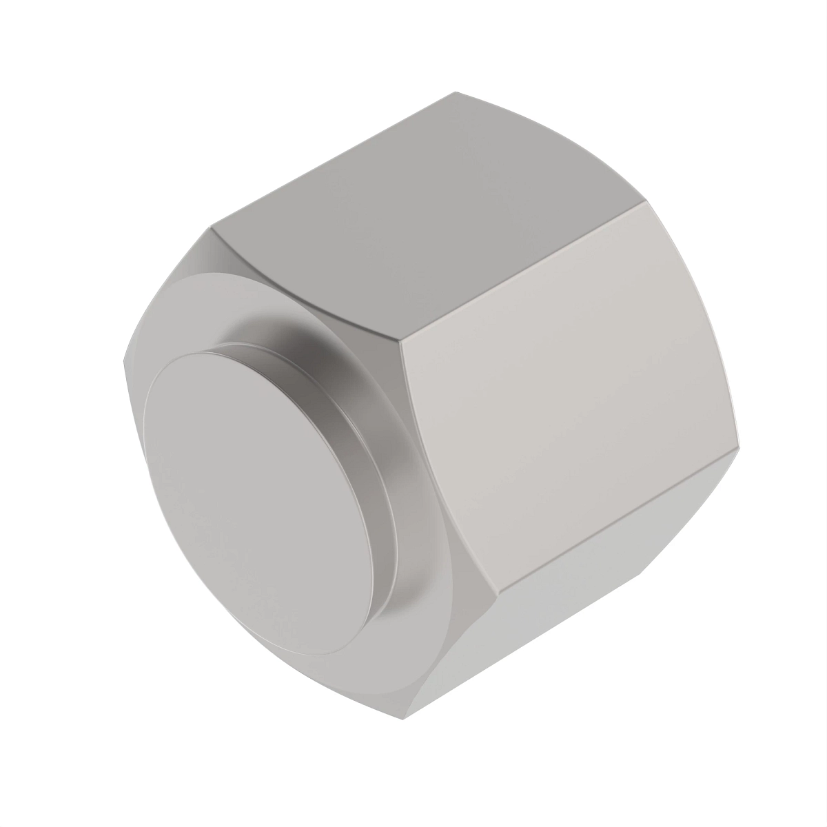 Fitting, Cap Assembly, O-Ring FSF