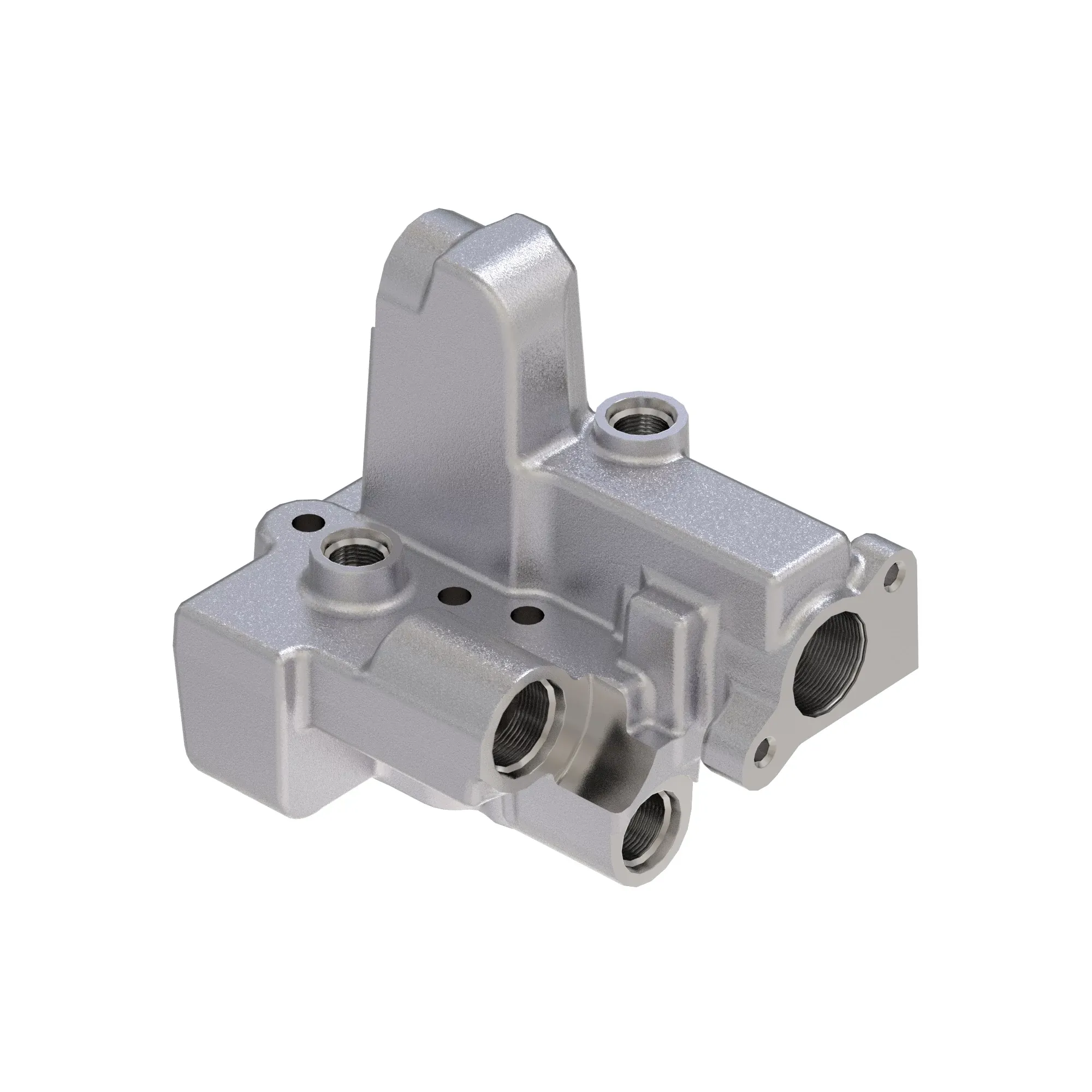 Manifold
