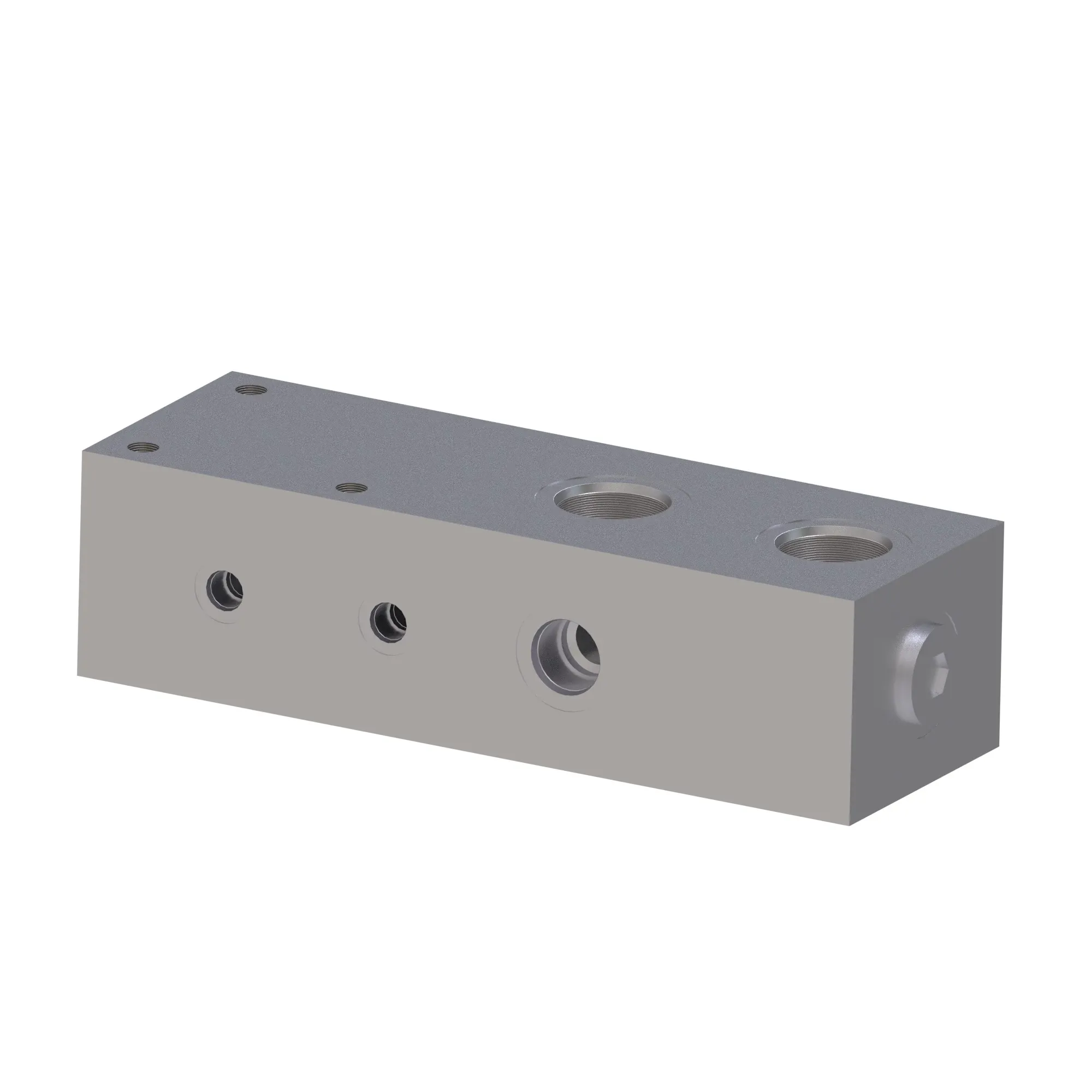 Manifold