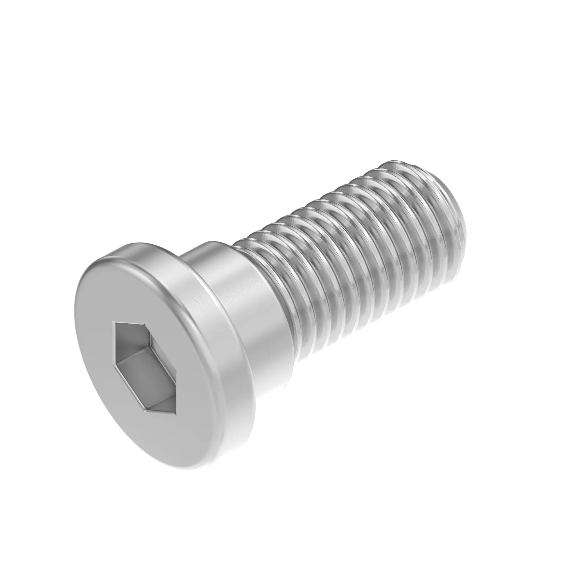 SCREW, SHOULDER