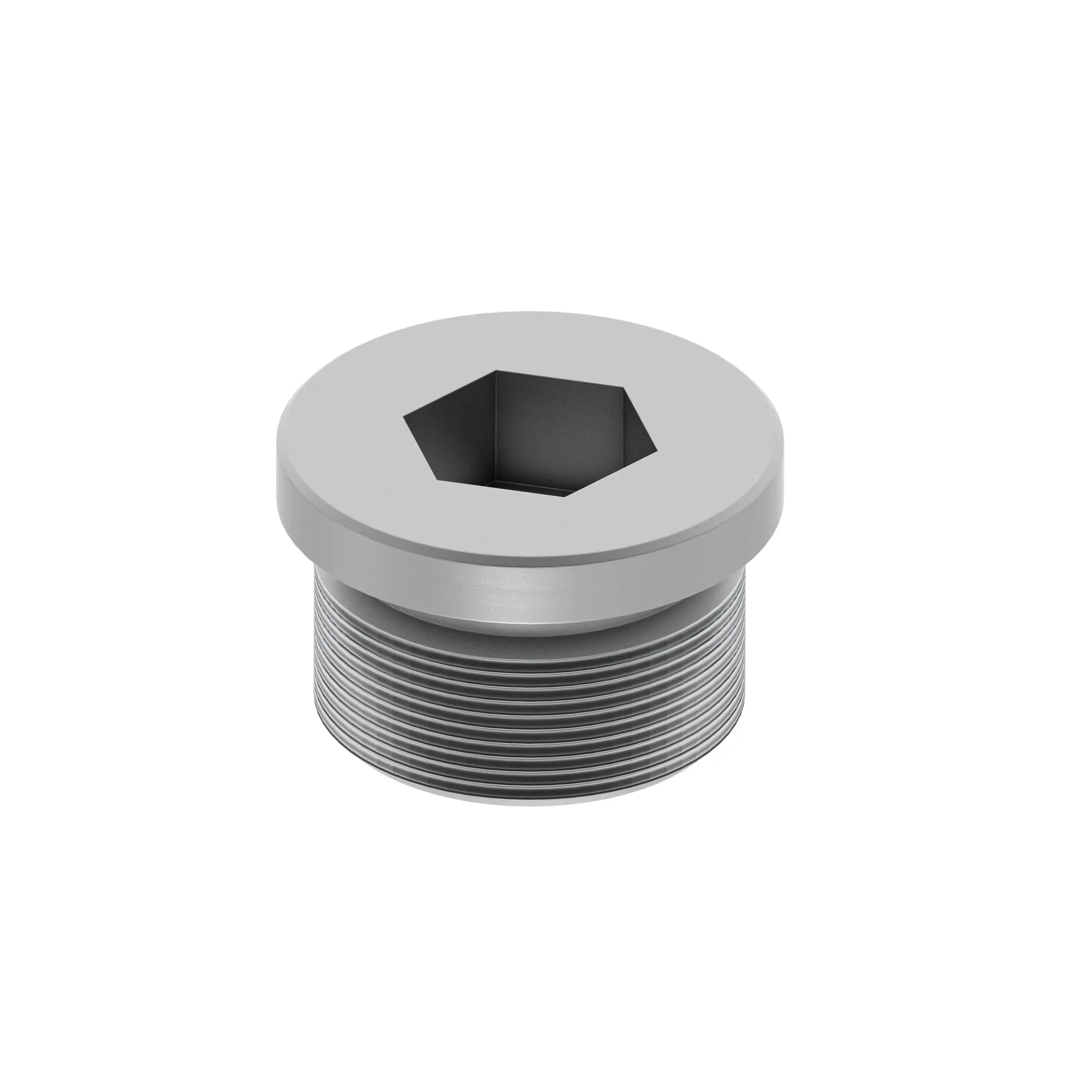 PLUG, JDS 217.2-PLIH-1-1/16 IN