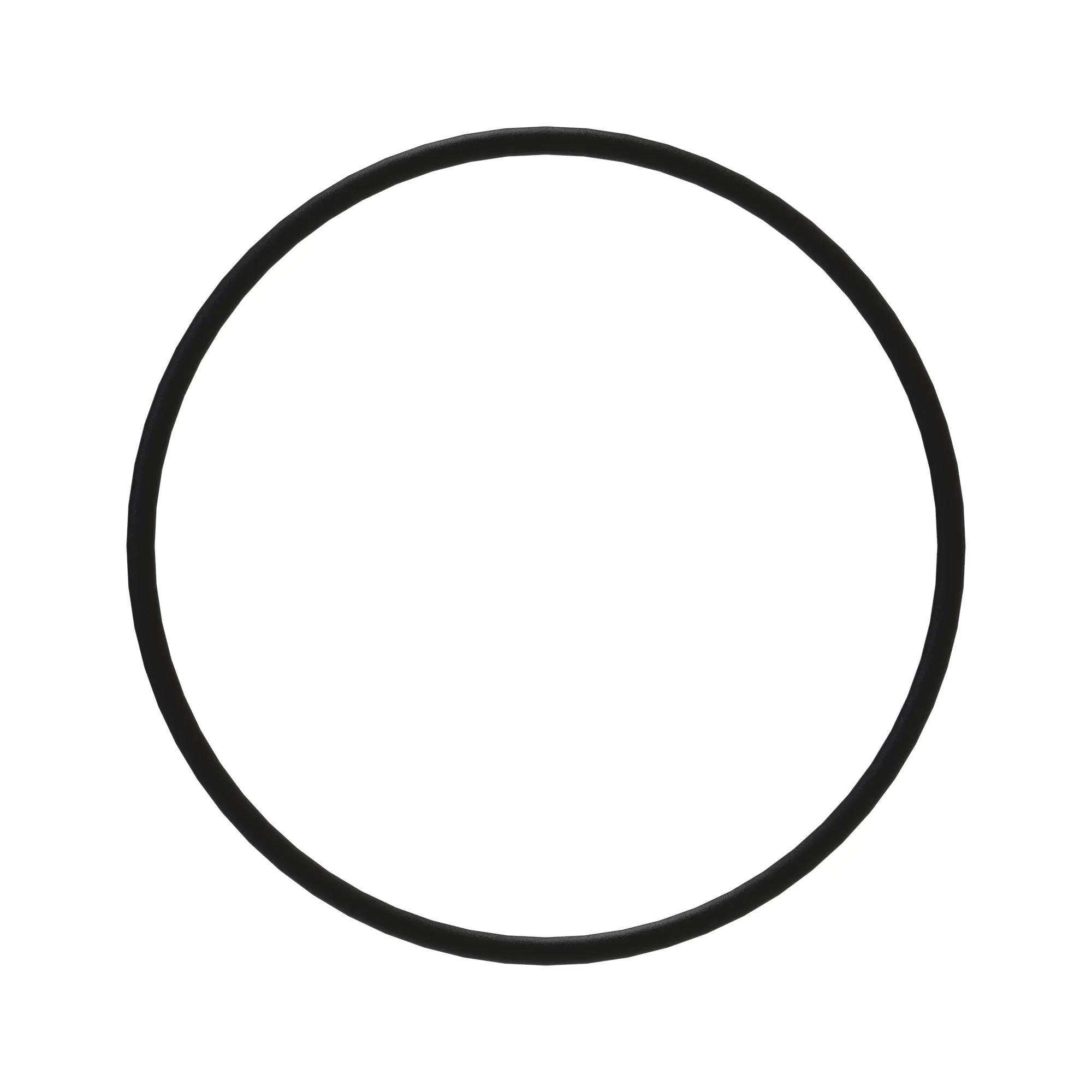 O-Ring