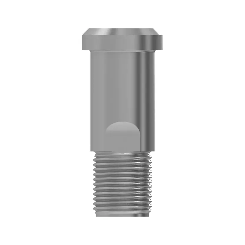 Bolt