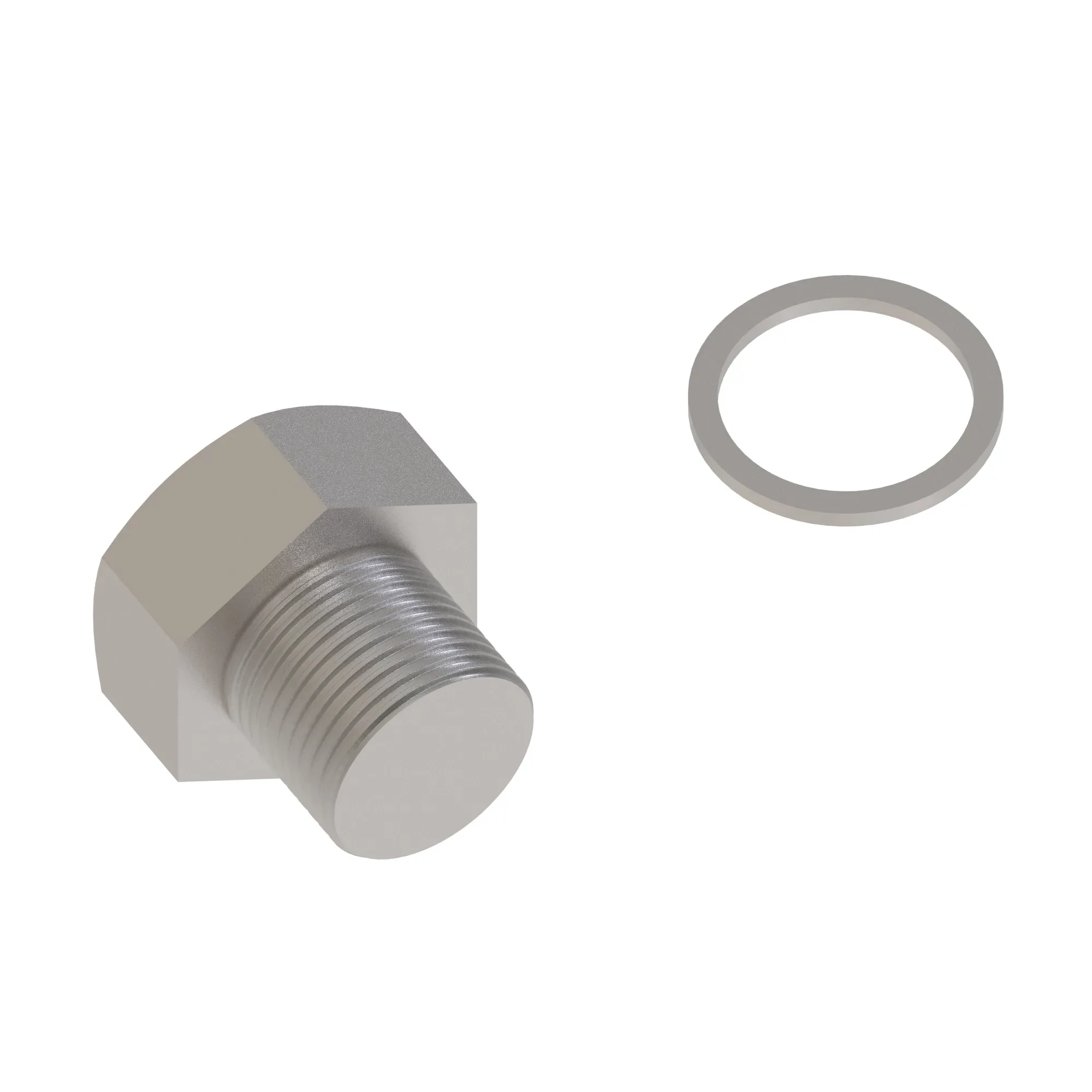 Adjuster Plug Kit