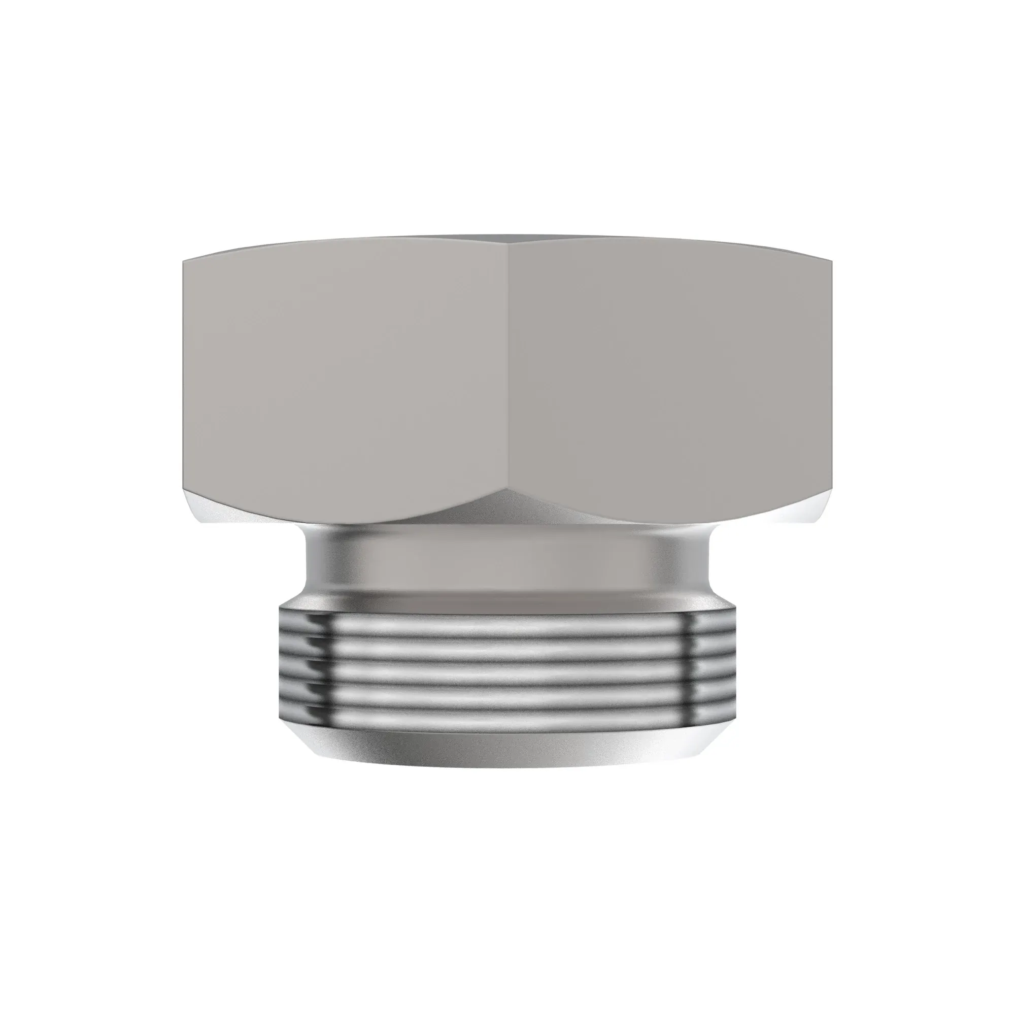 Fitting Plug