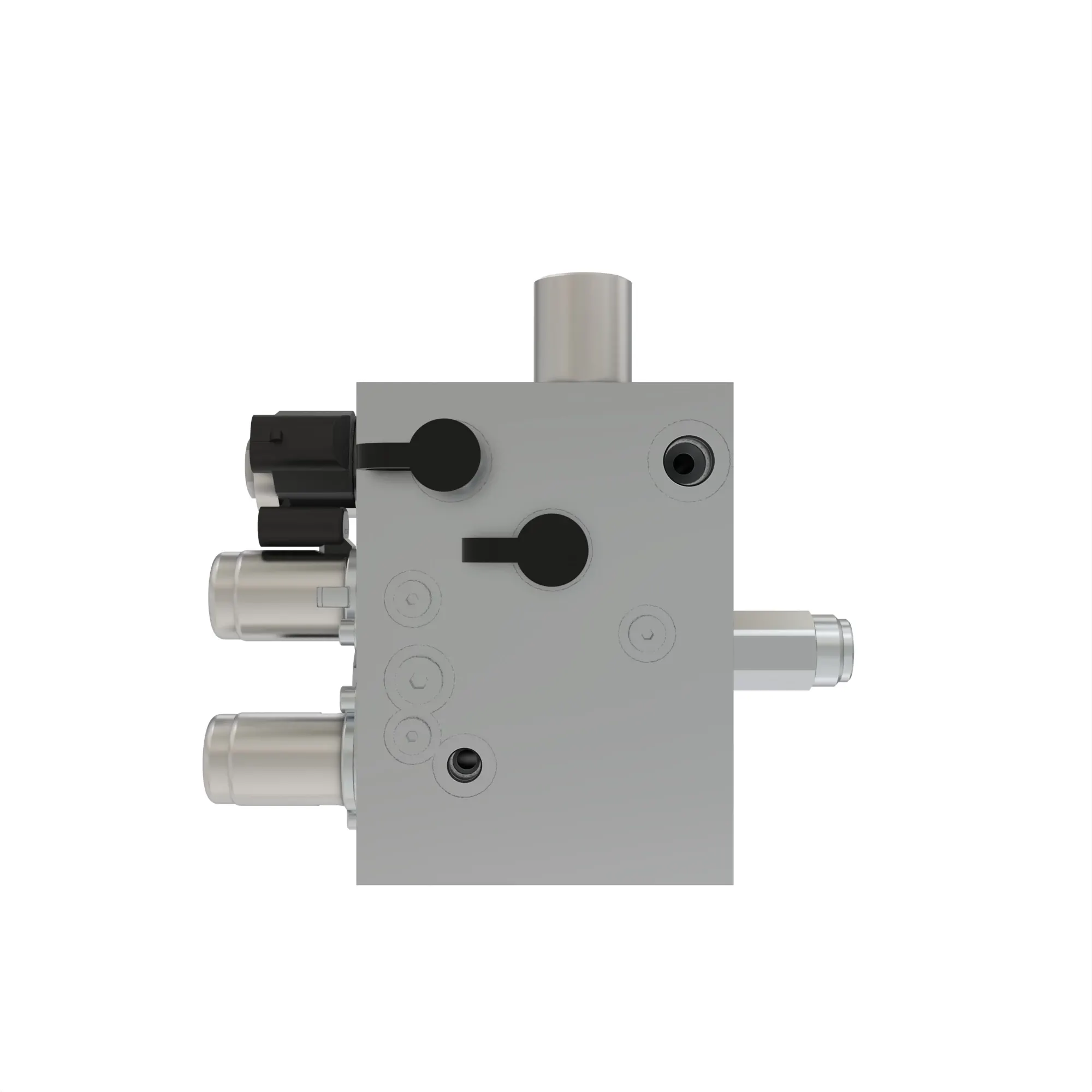 manifold