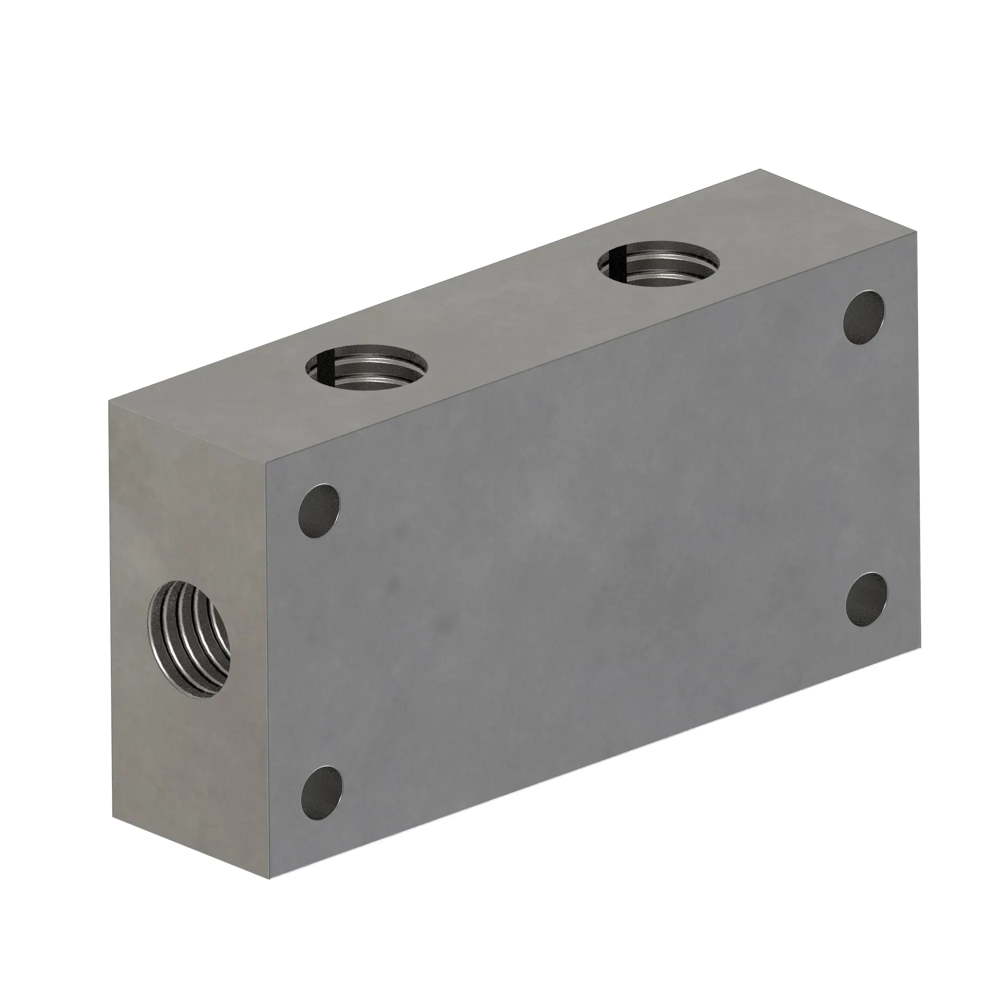 Manifold