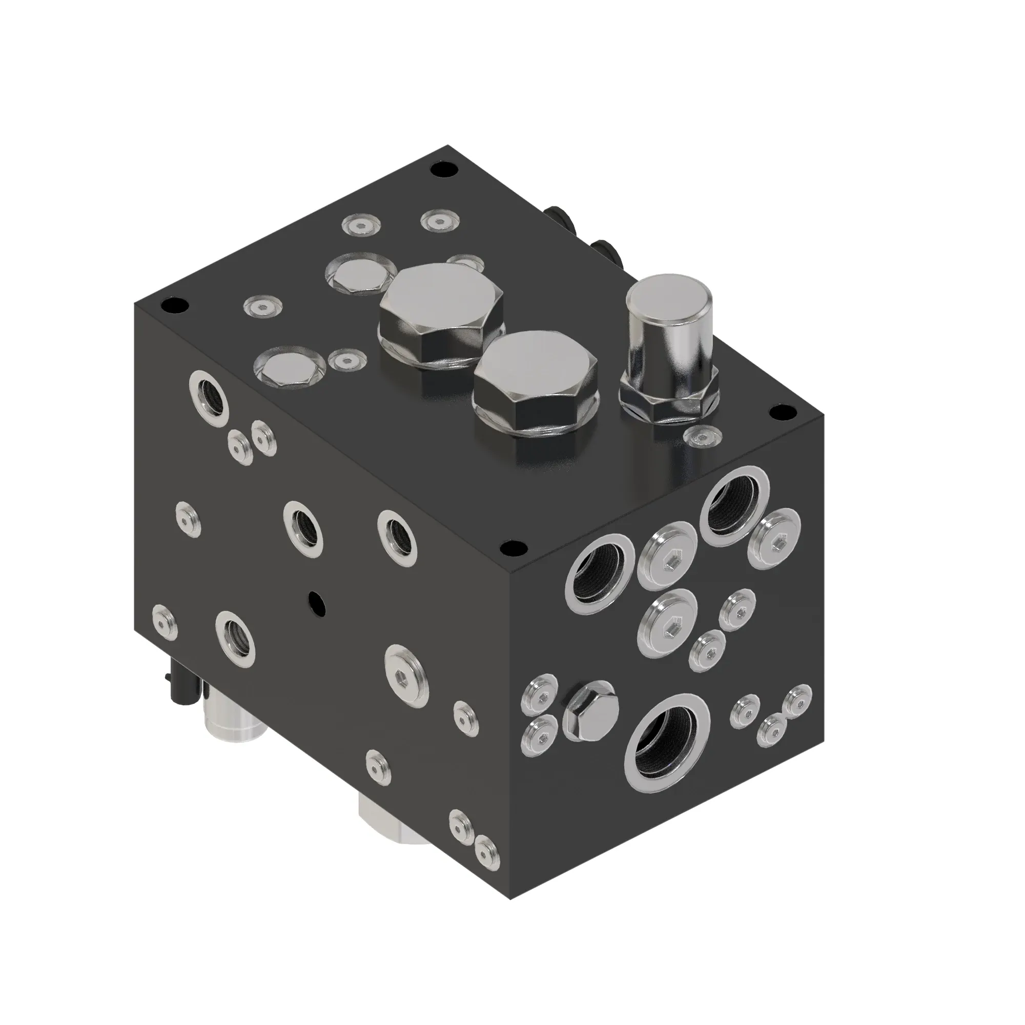 manifold