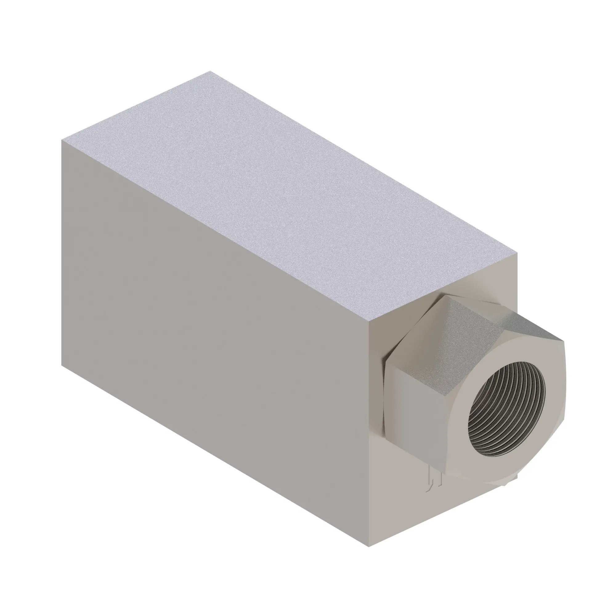 Check Valve