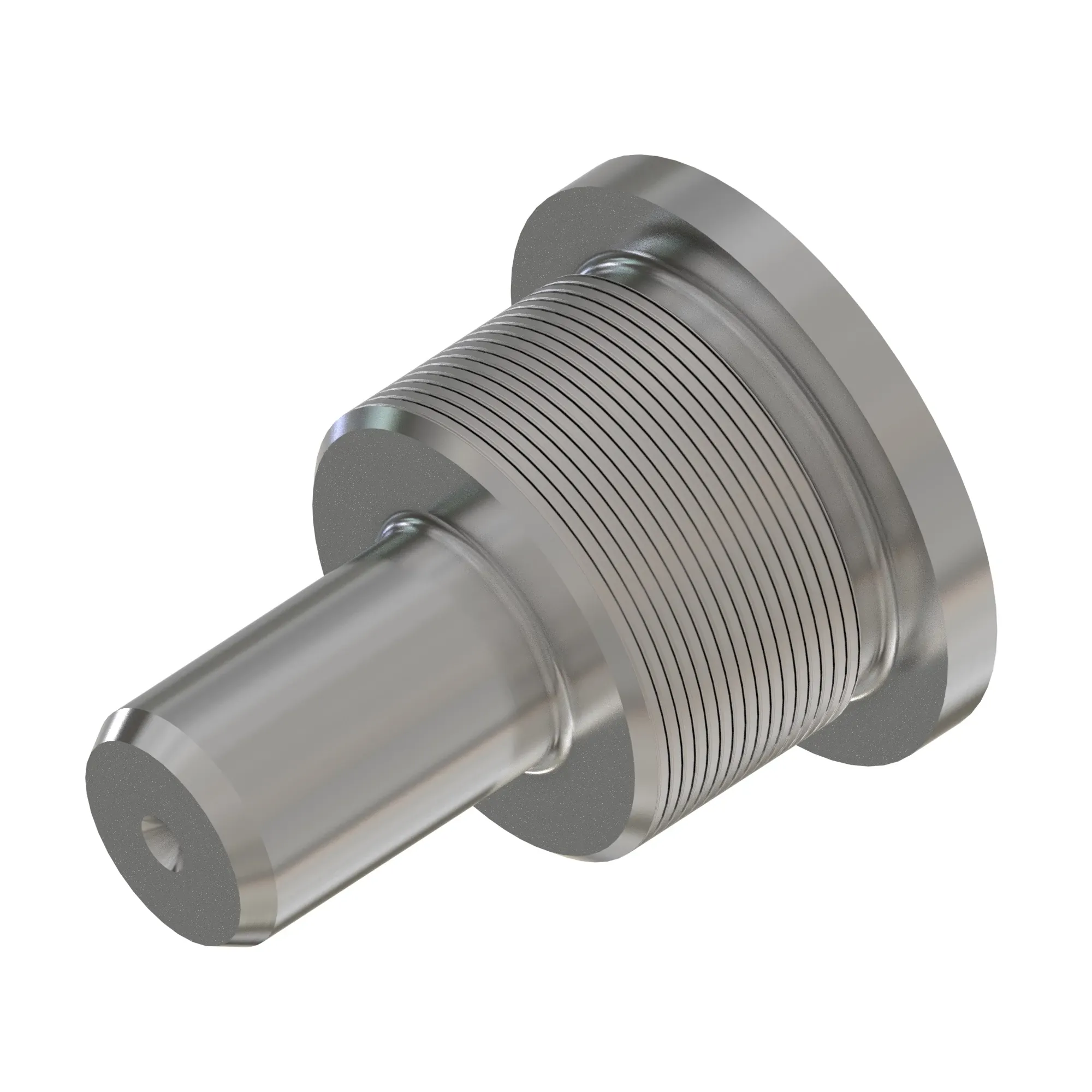 Fitting Plug
