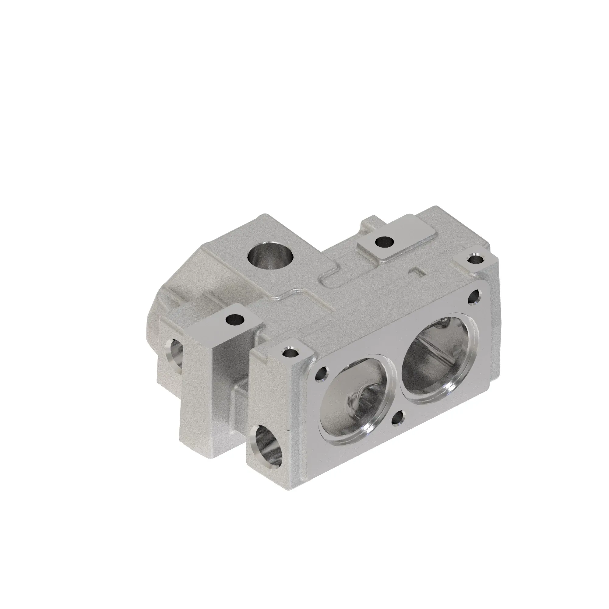 manifold