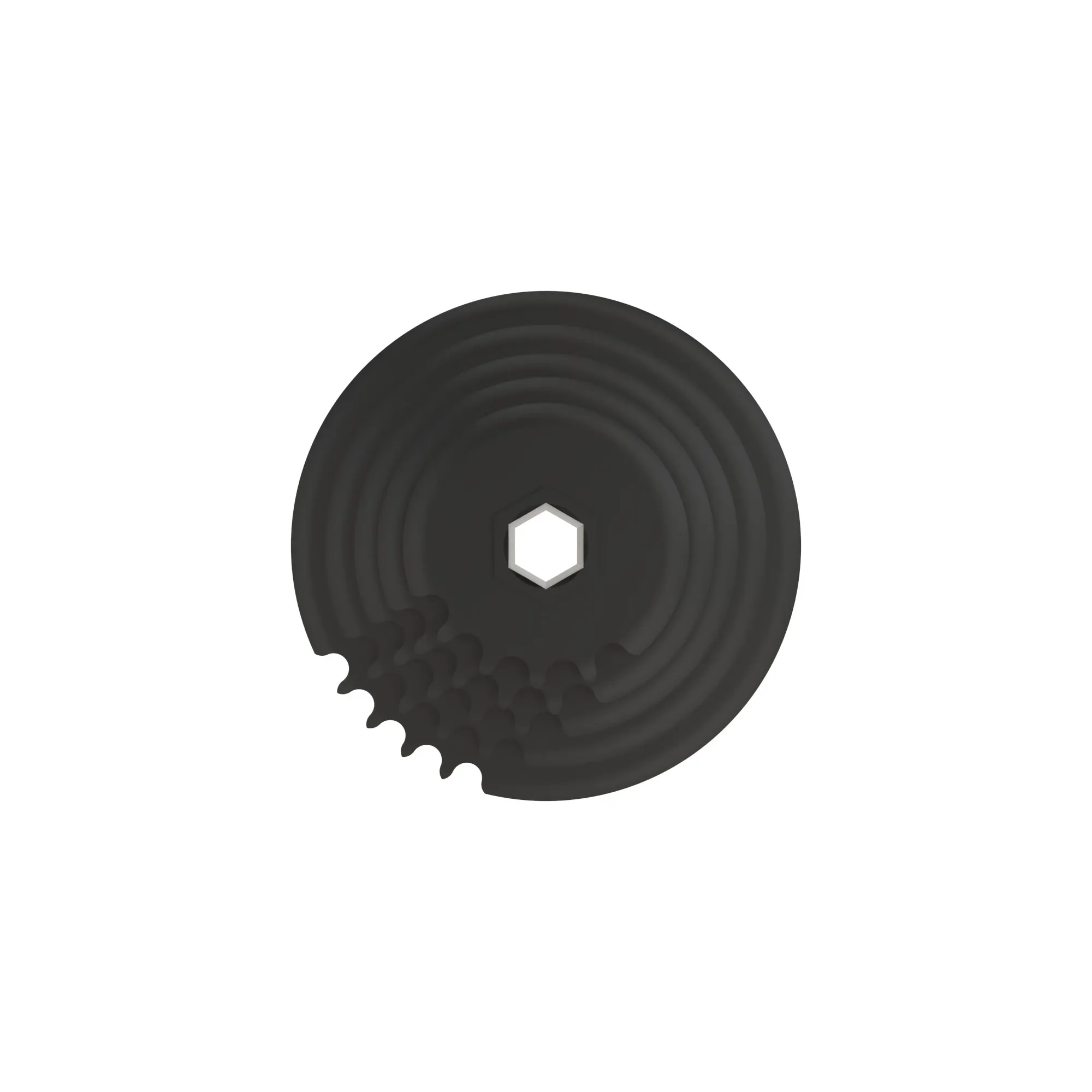 Sprocket Segments