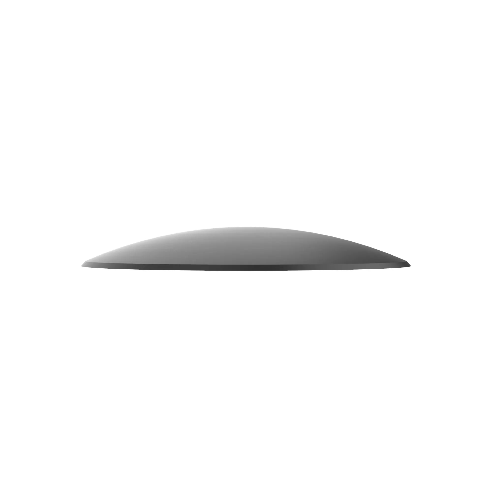 Disk