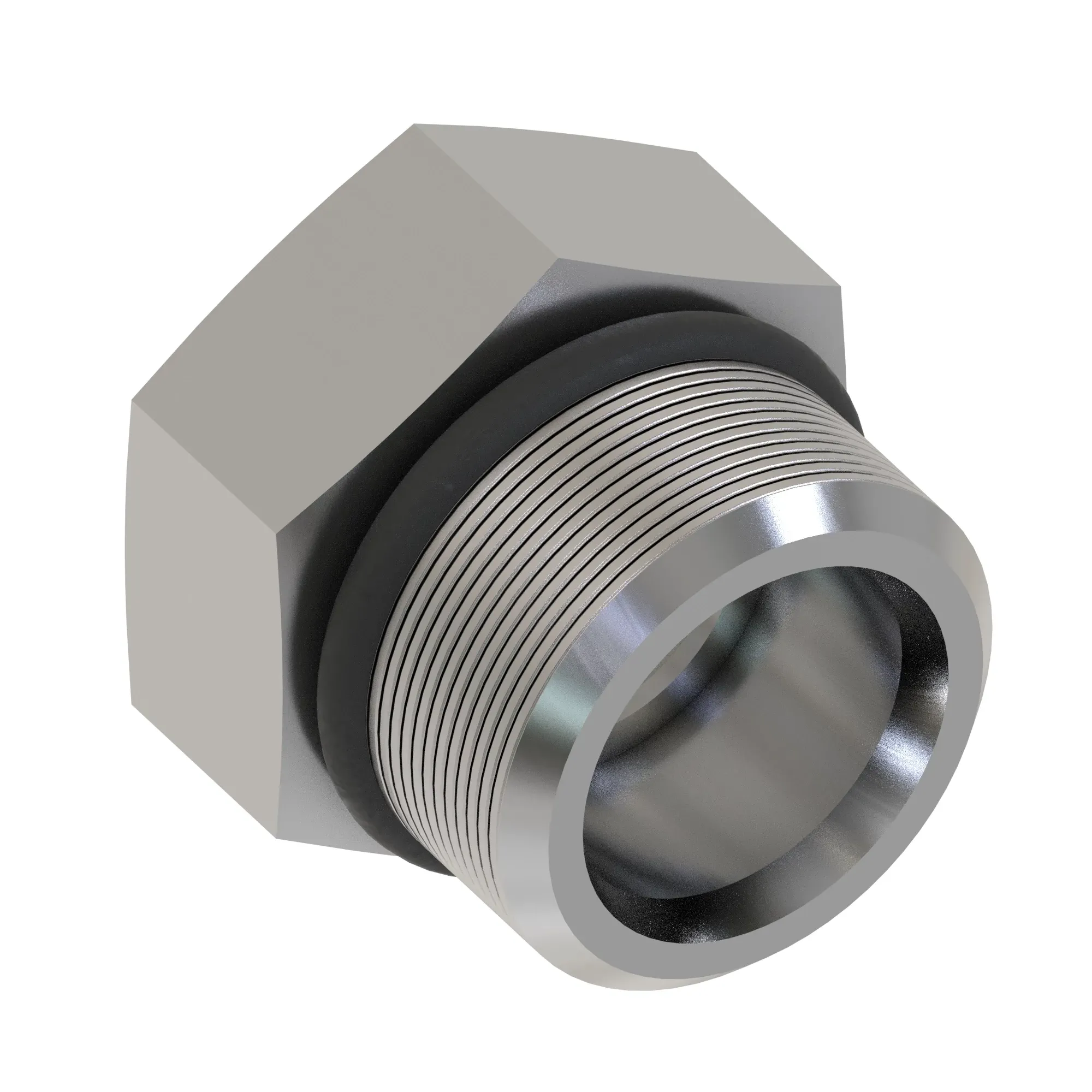 Fitting Plug