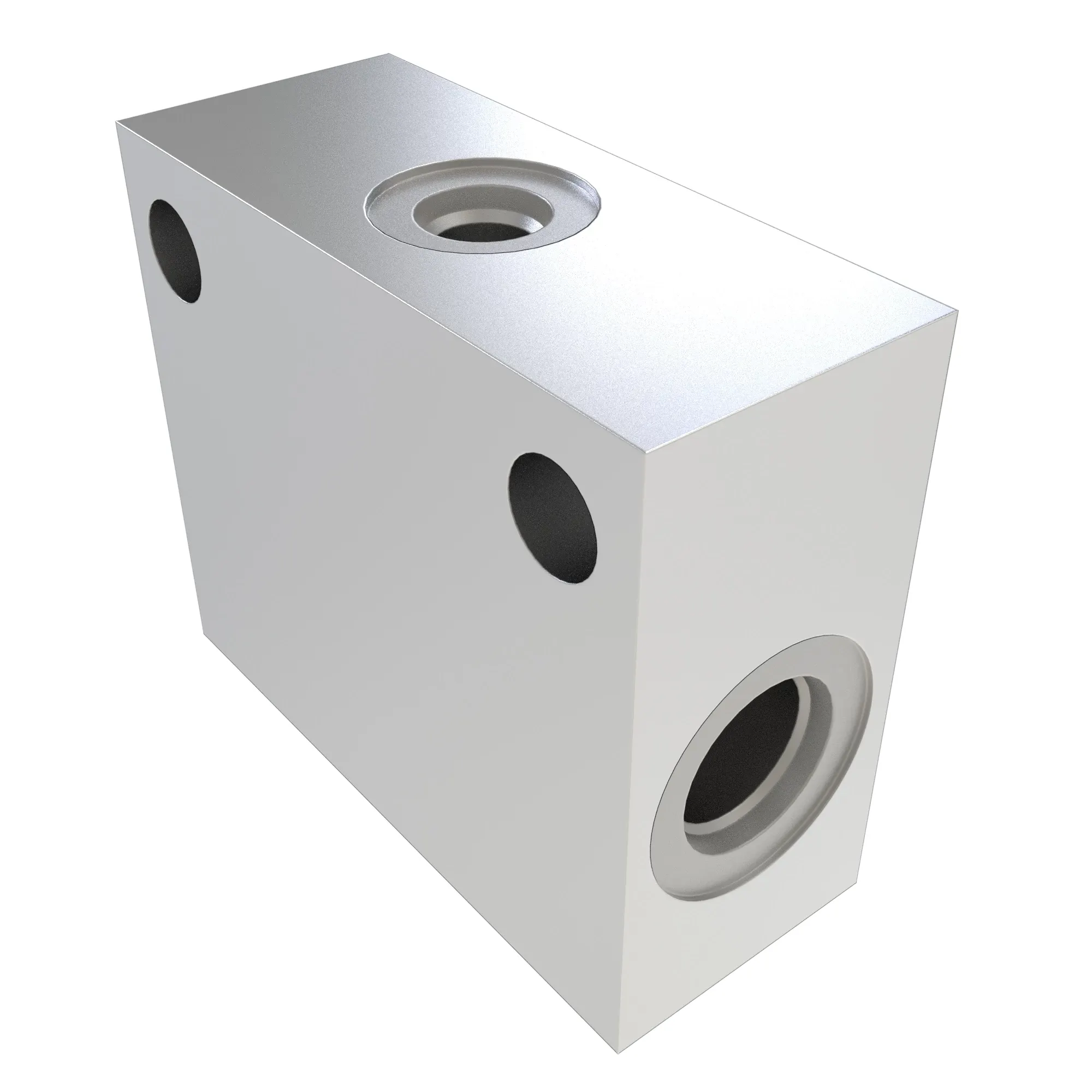 Manifold