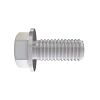 Screw