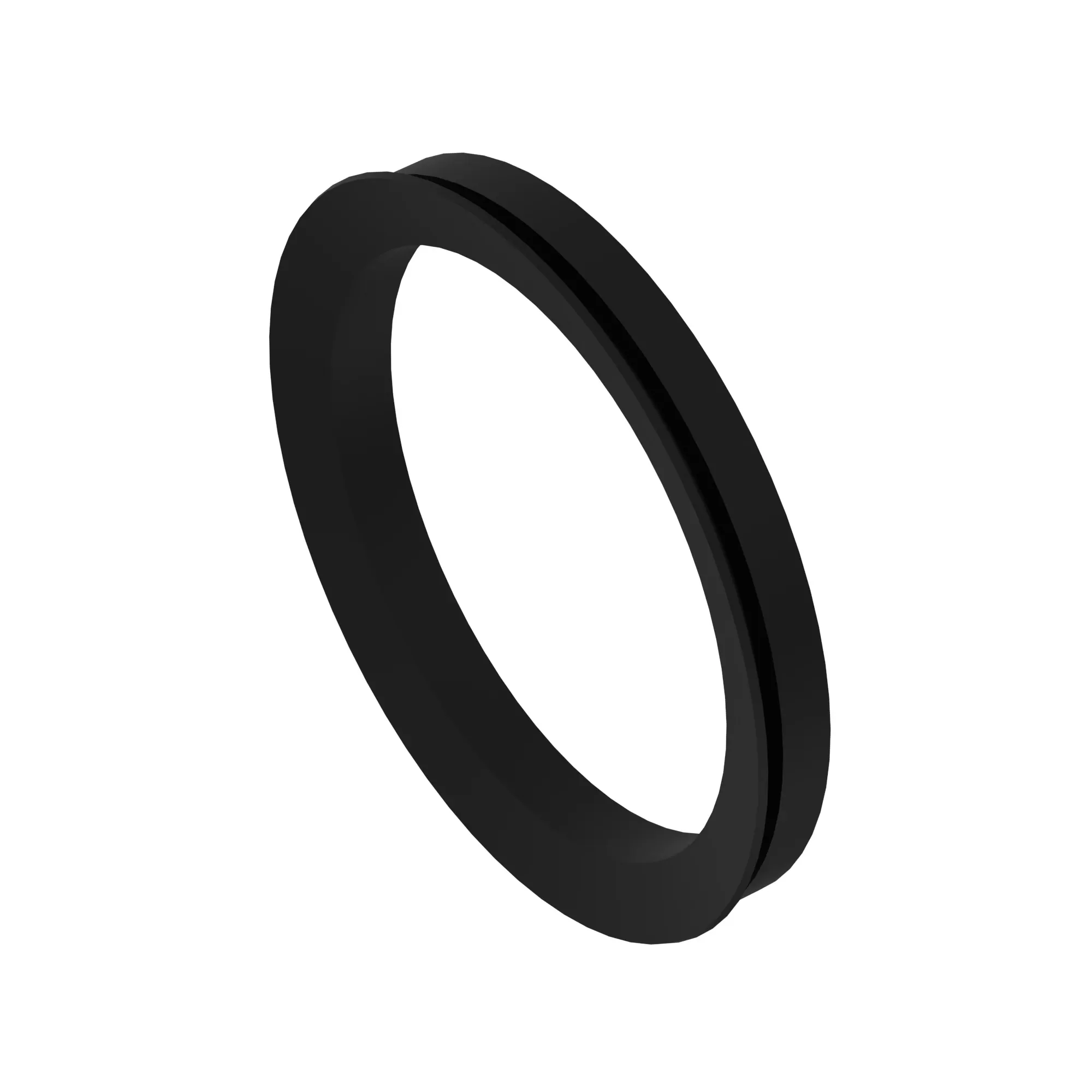 SEAL, V-RING