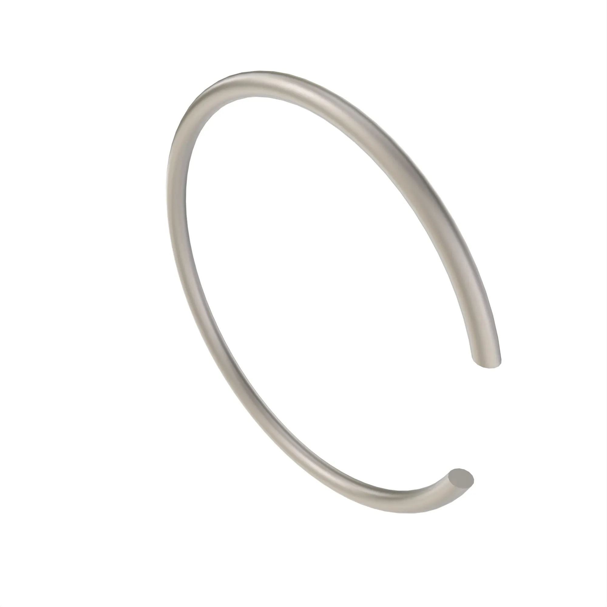Snap Ring
