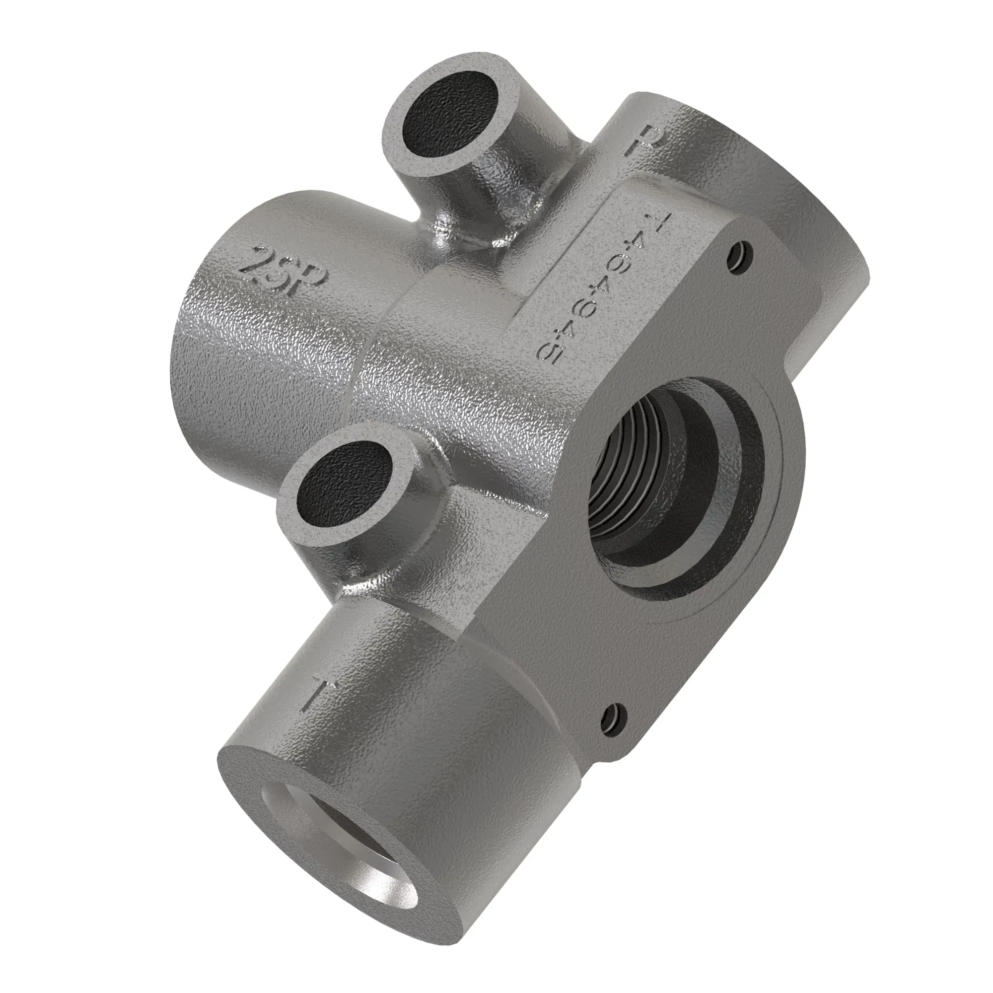 Manifold