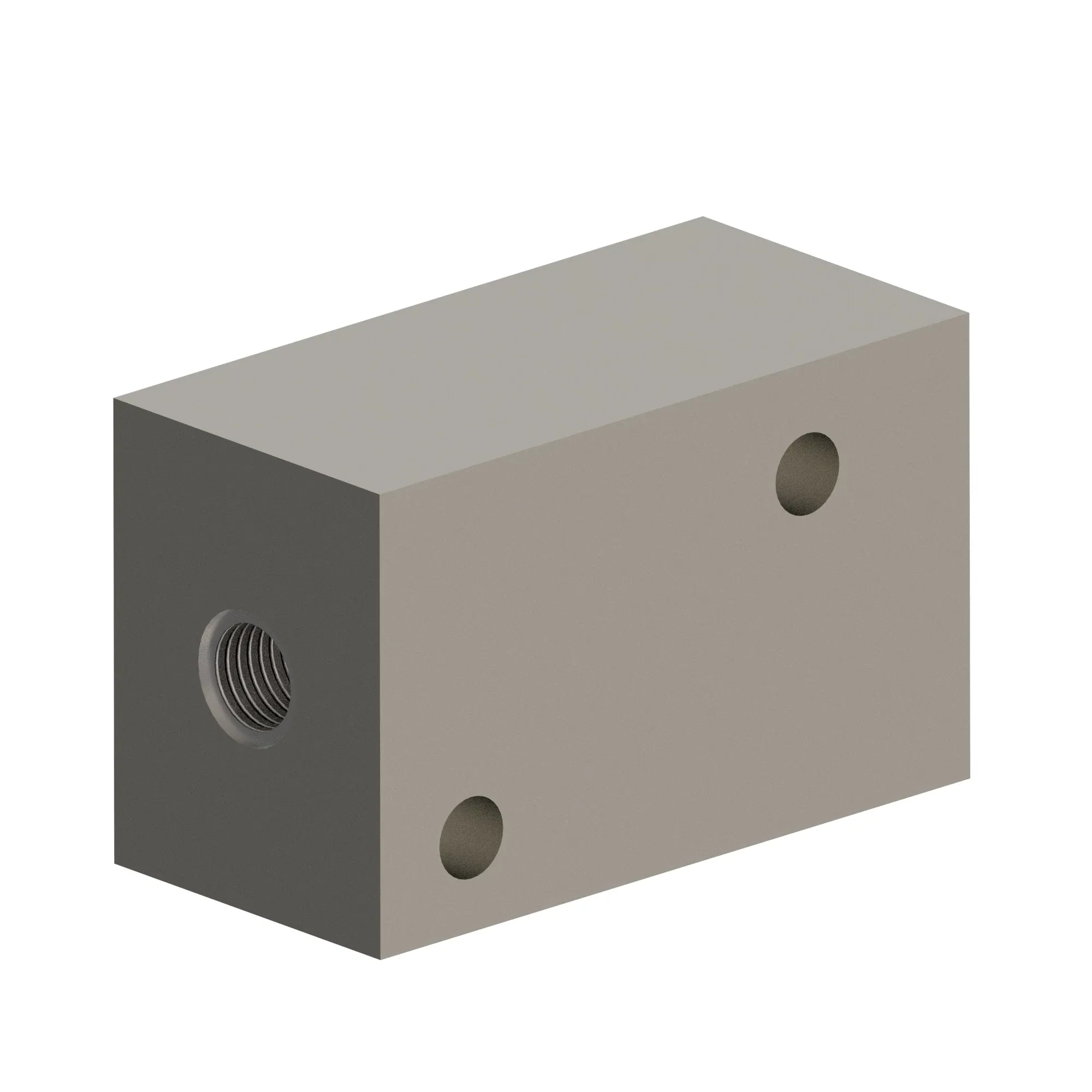 Check Valve