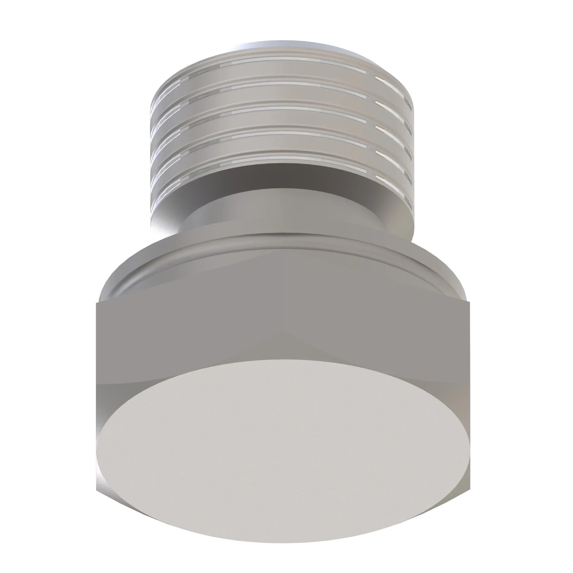 Fitting Plug