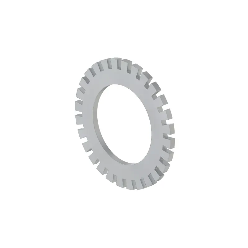 F15007: Lock Washer