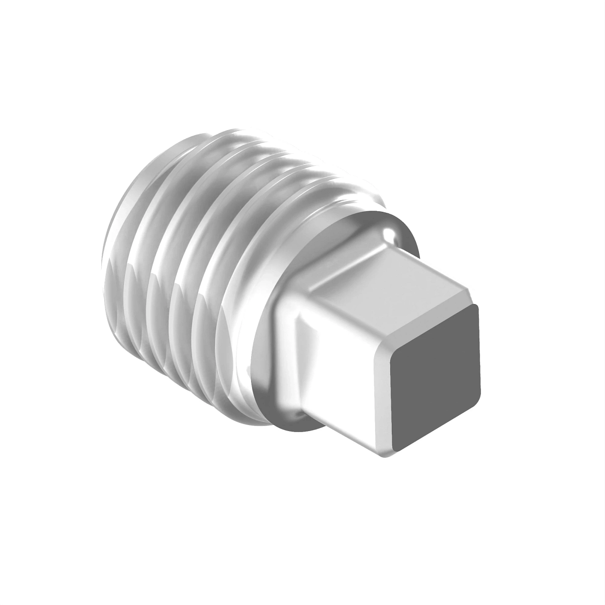 Fitting, Pipe Plug