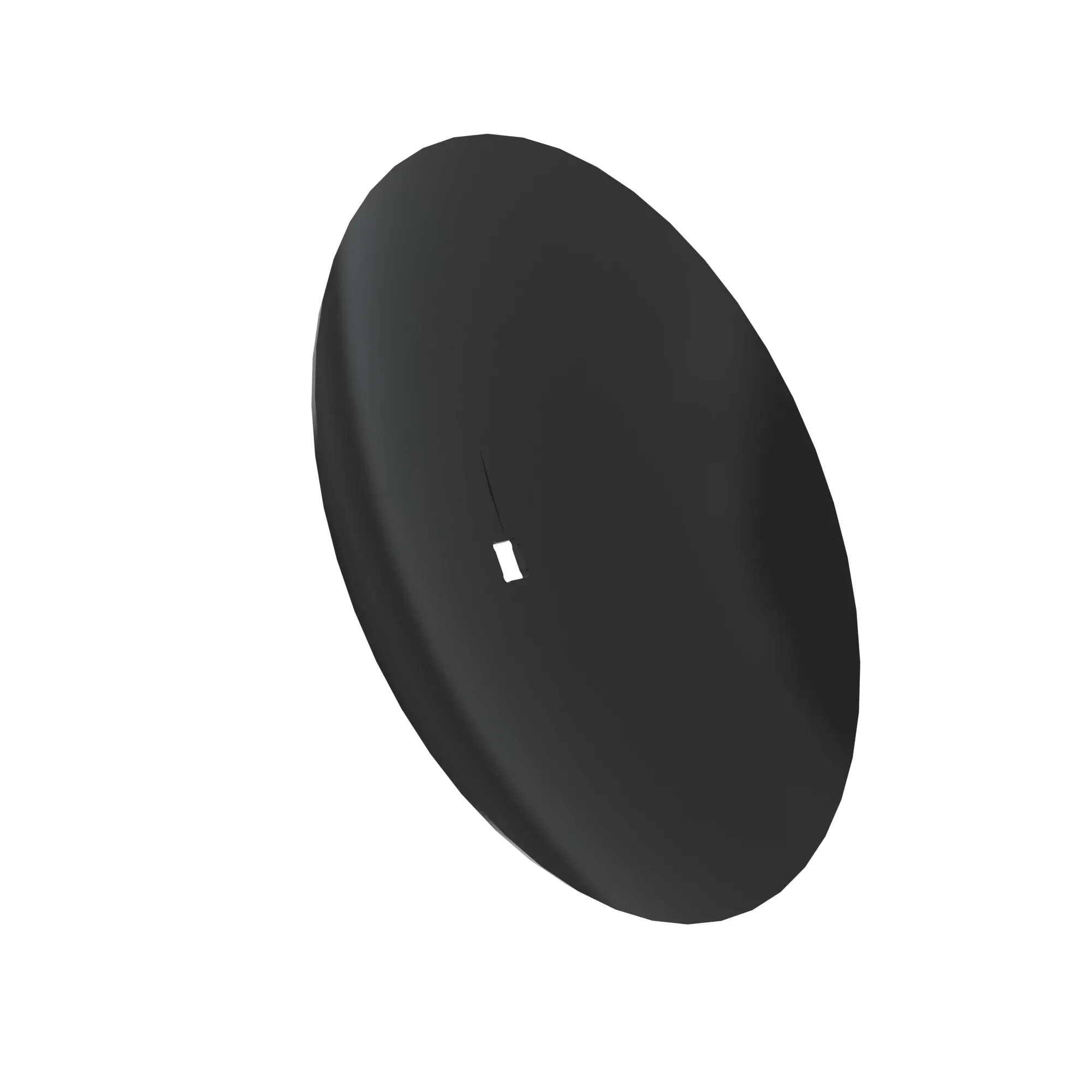 Disk
