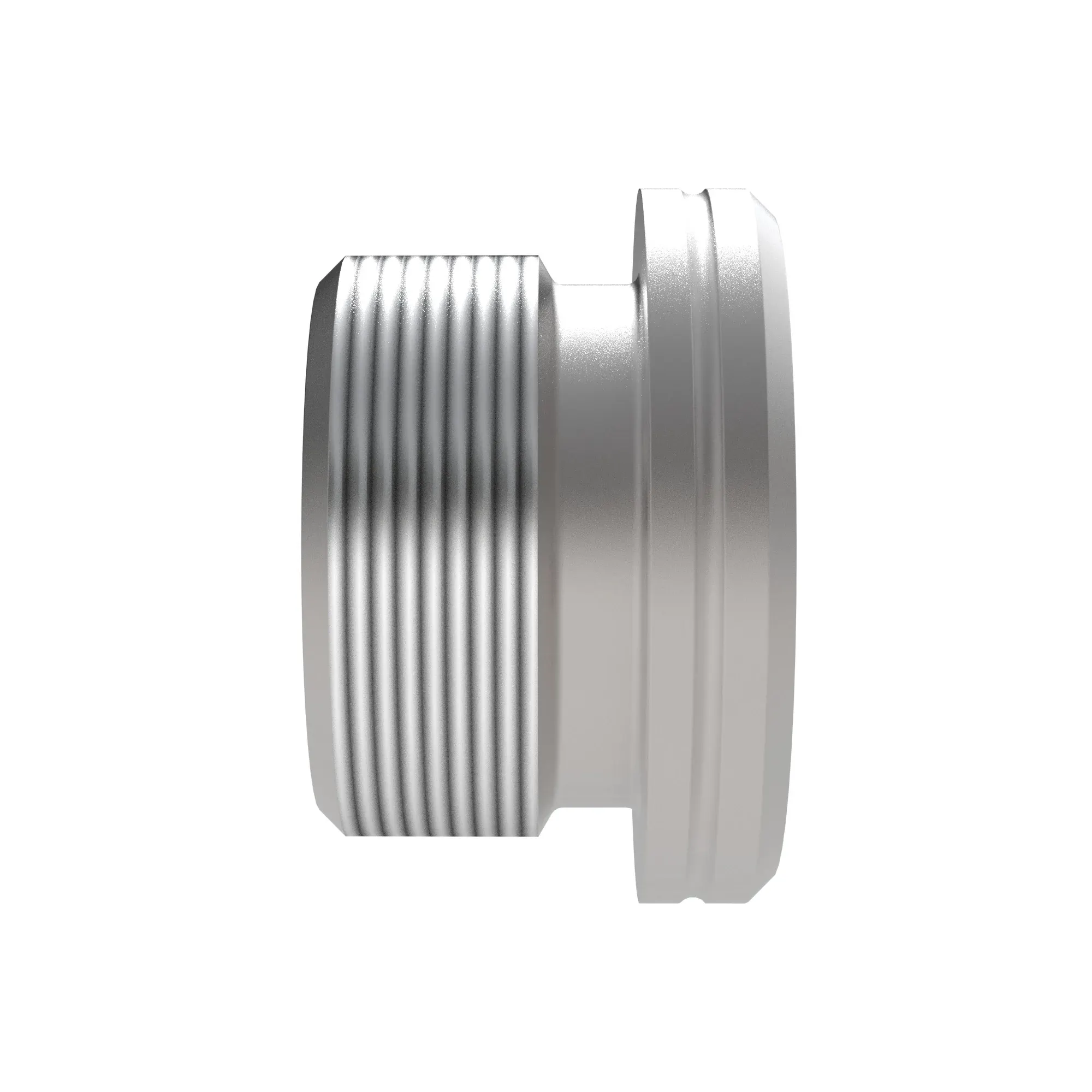 Fitting Plug