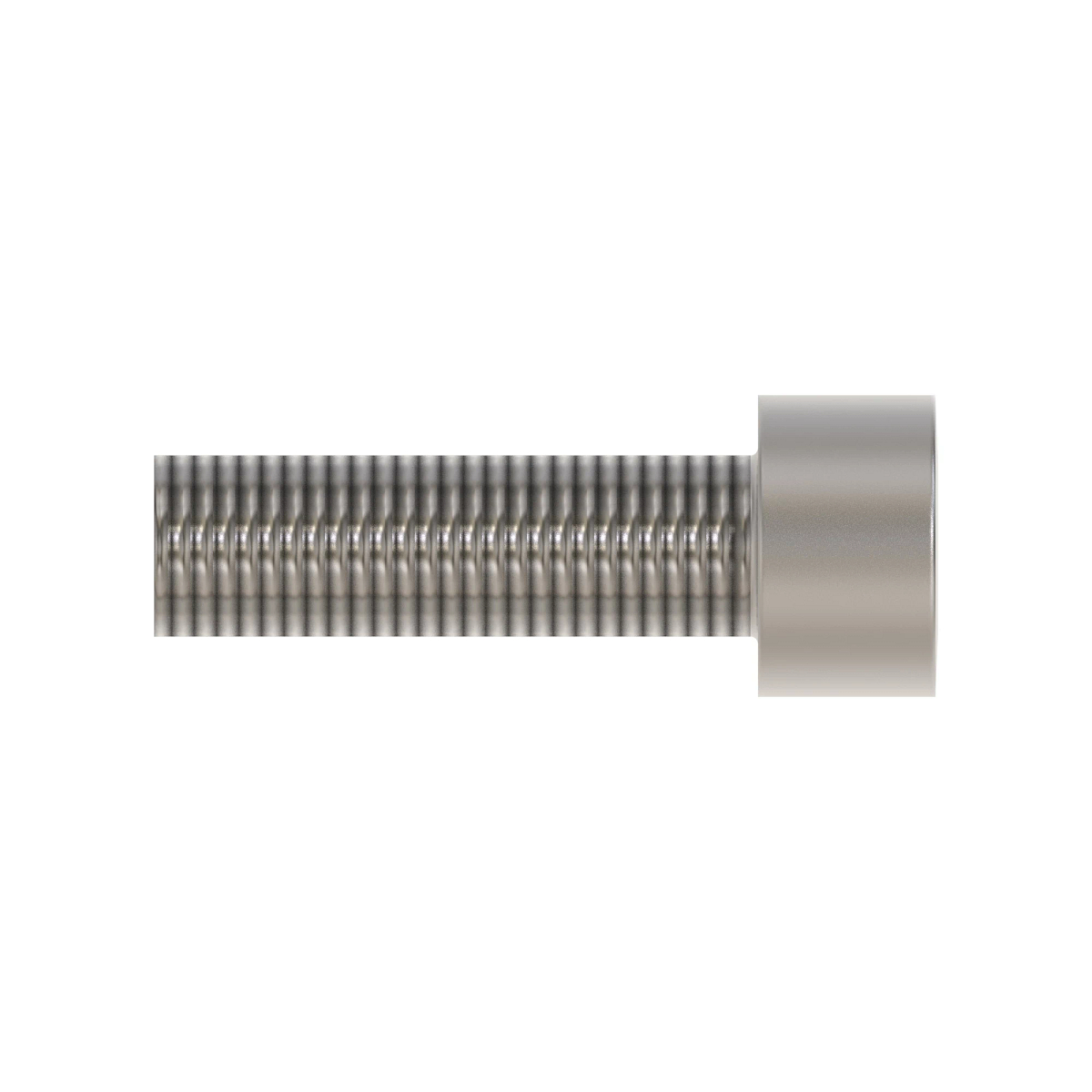 Socket Head Screw