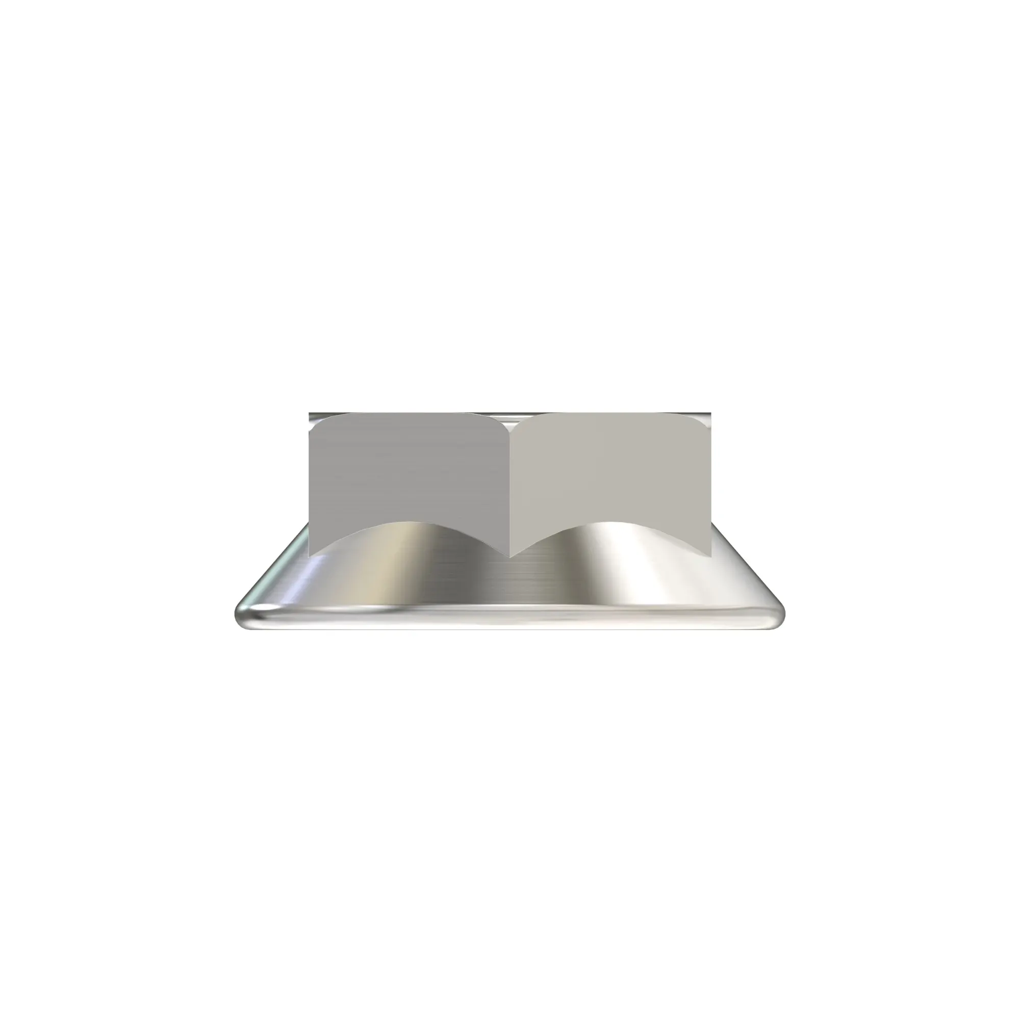 NUT-18-8 SS (5/16" UNC)