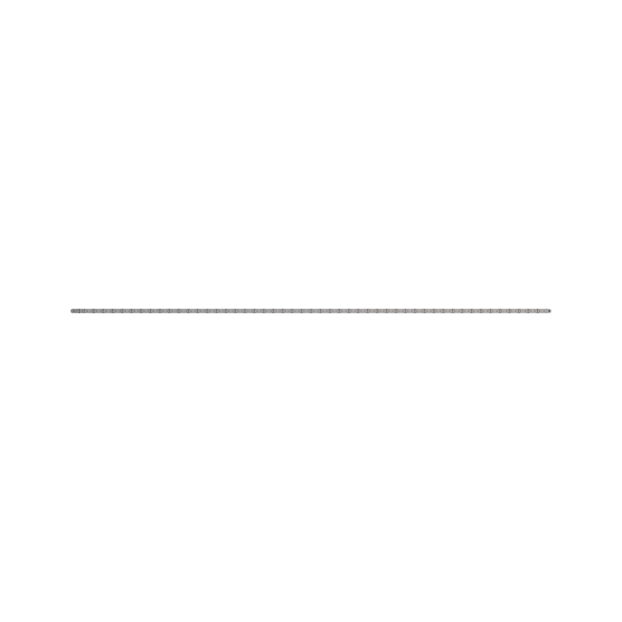 Roller Chain