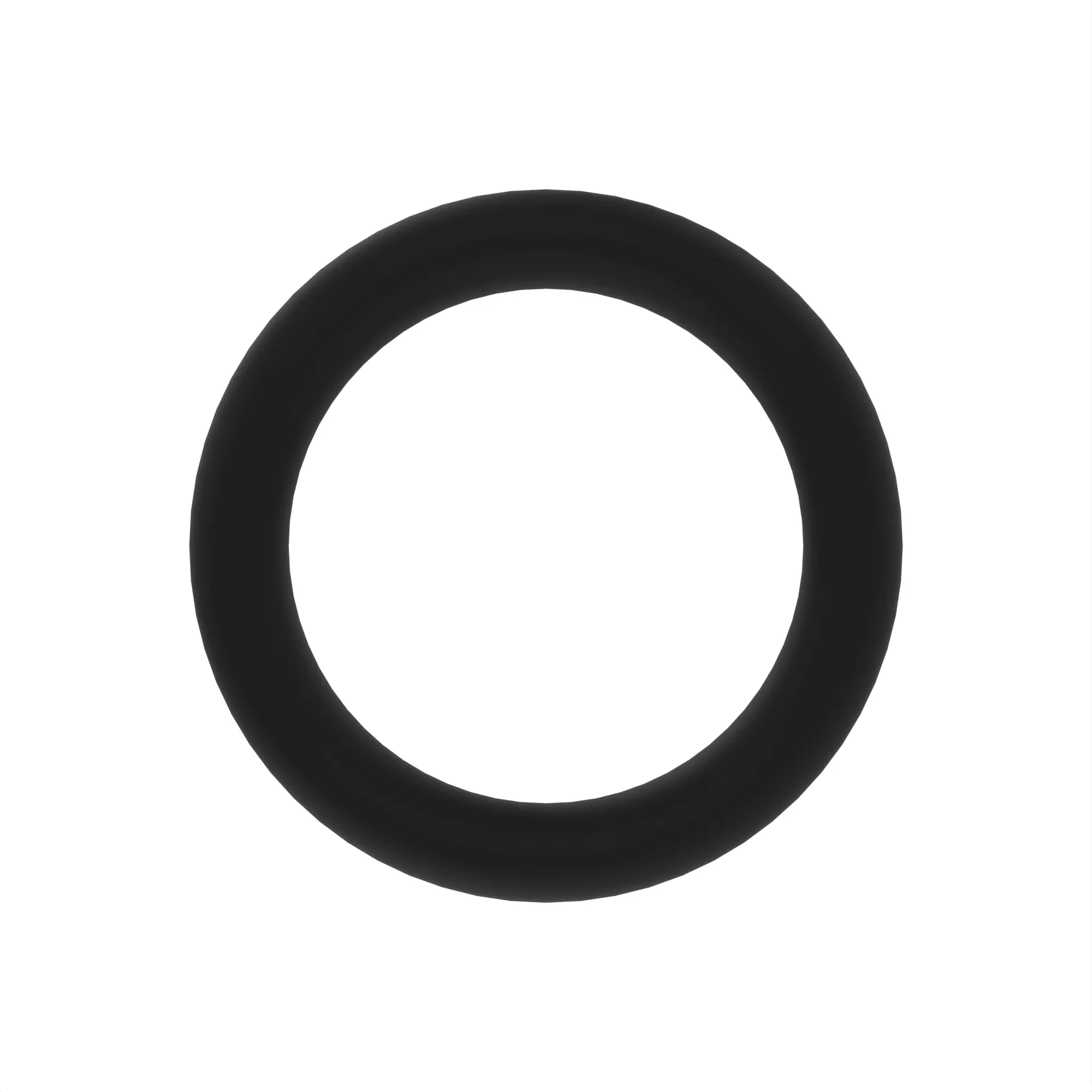 O-RING