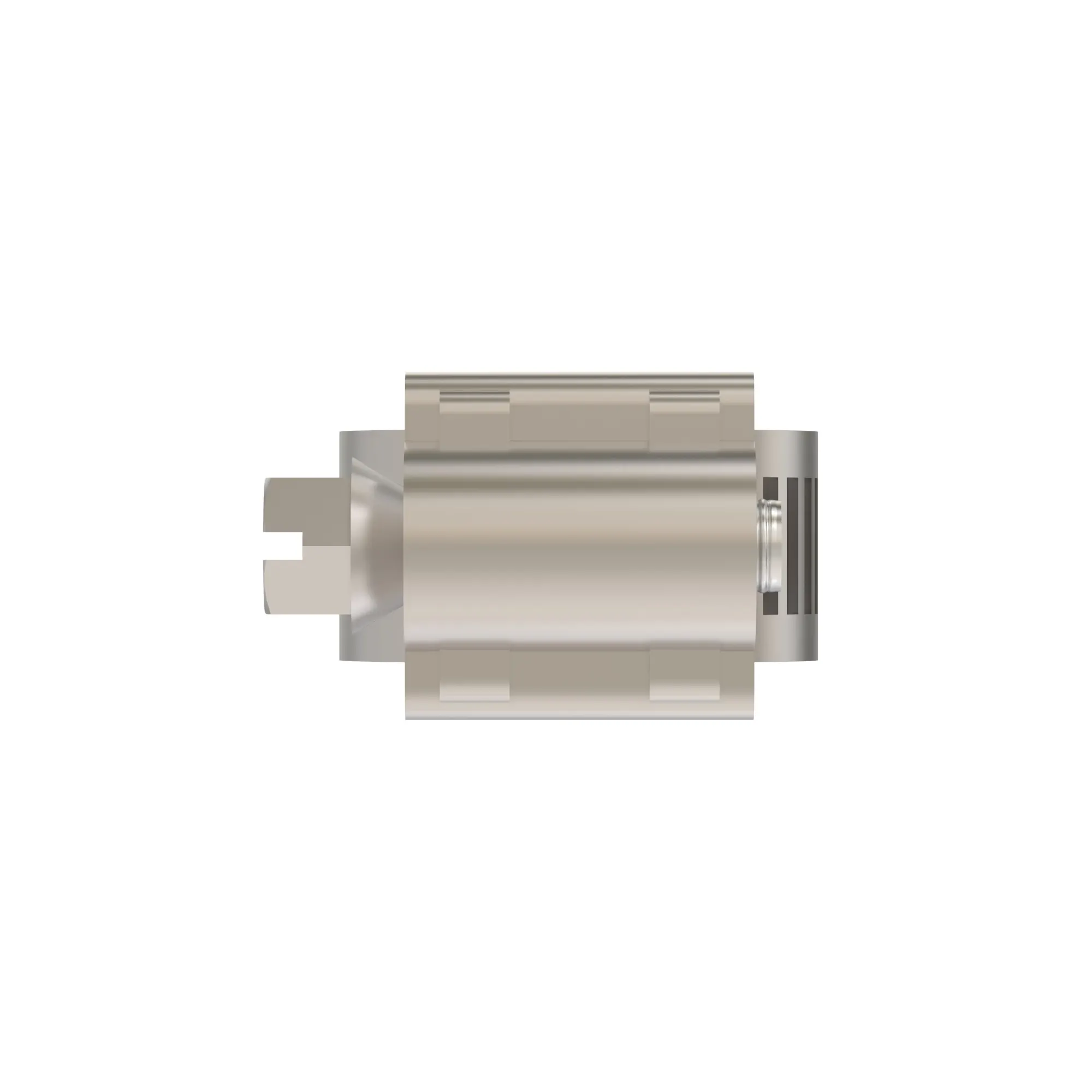 Hose Clamp