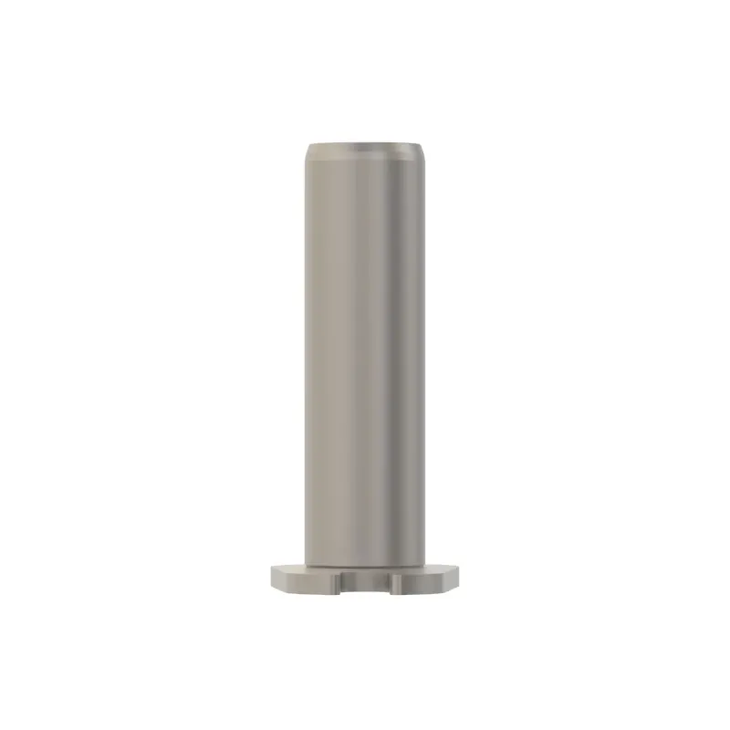 Pin