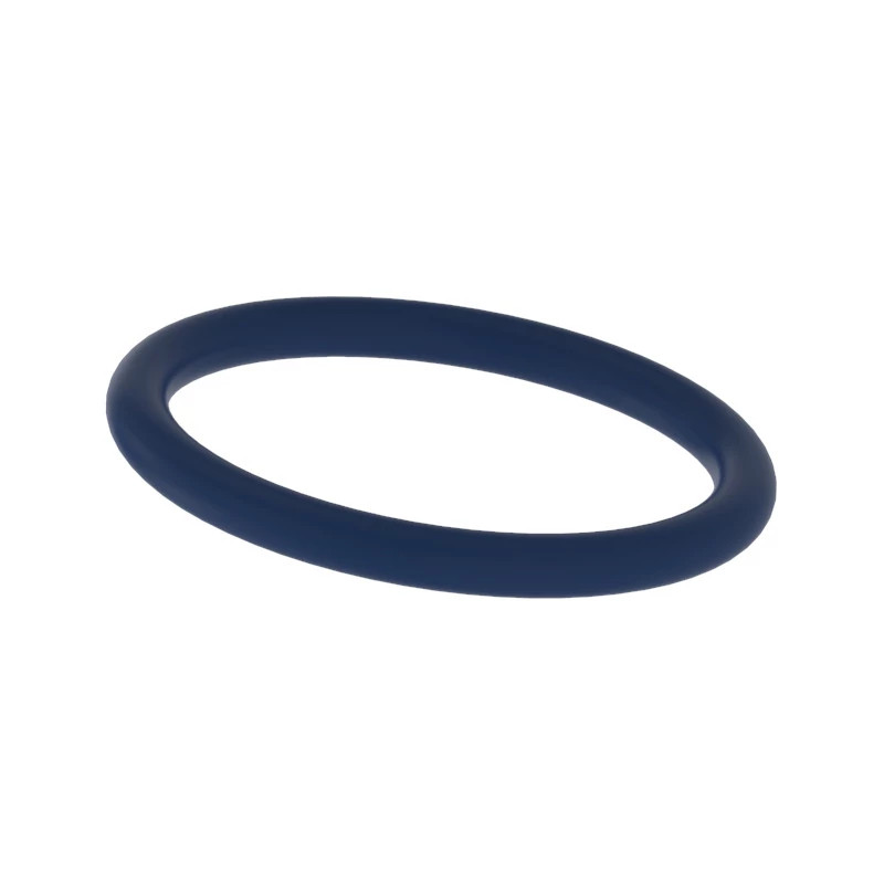 O-RING, PACKING