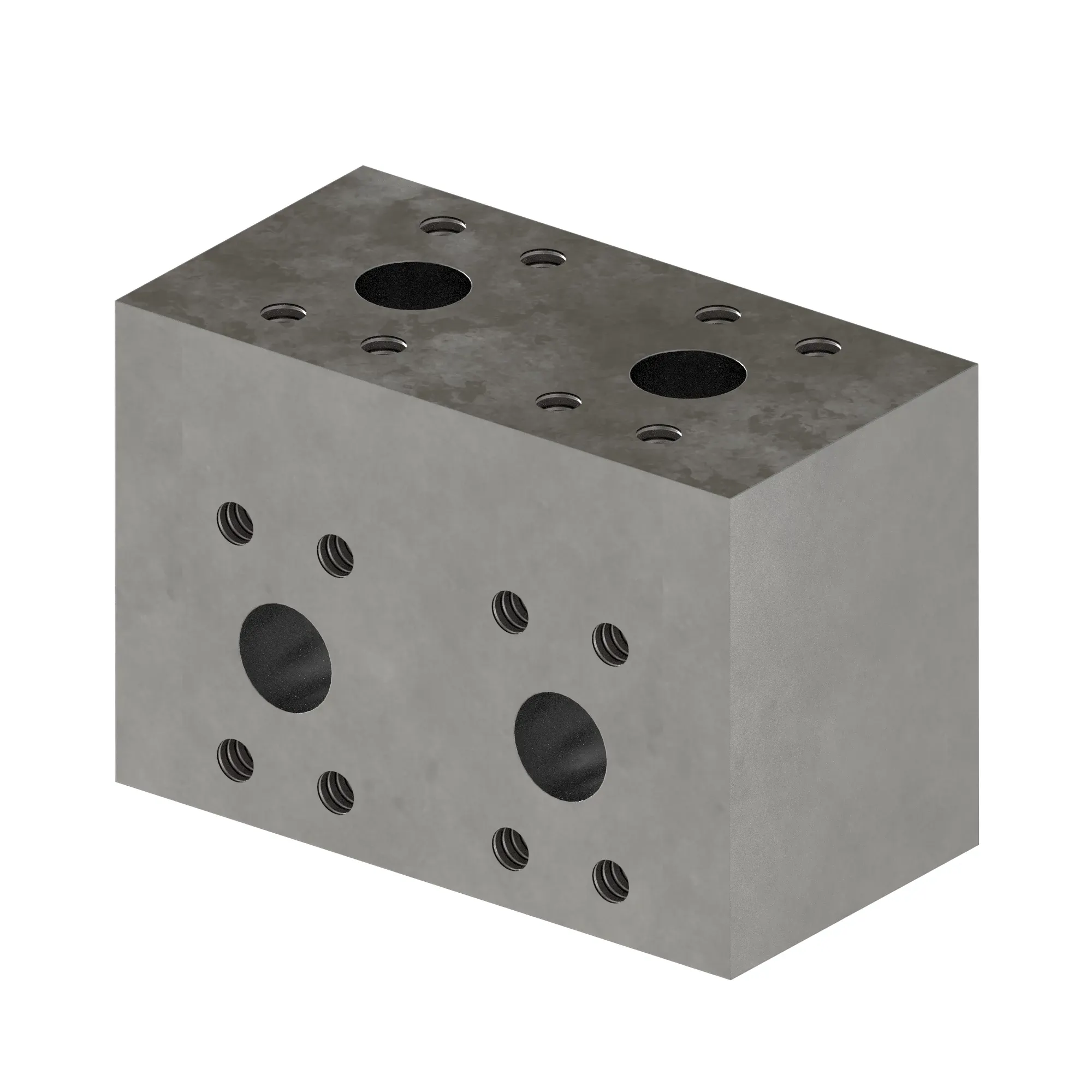 Manifold