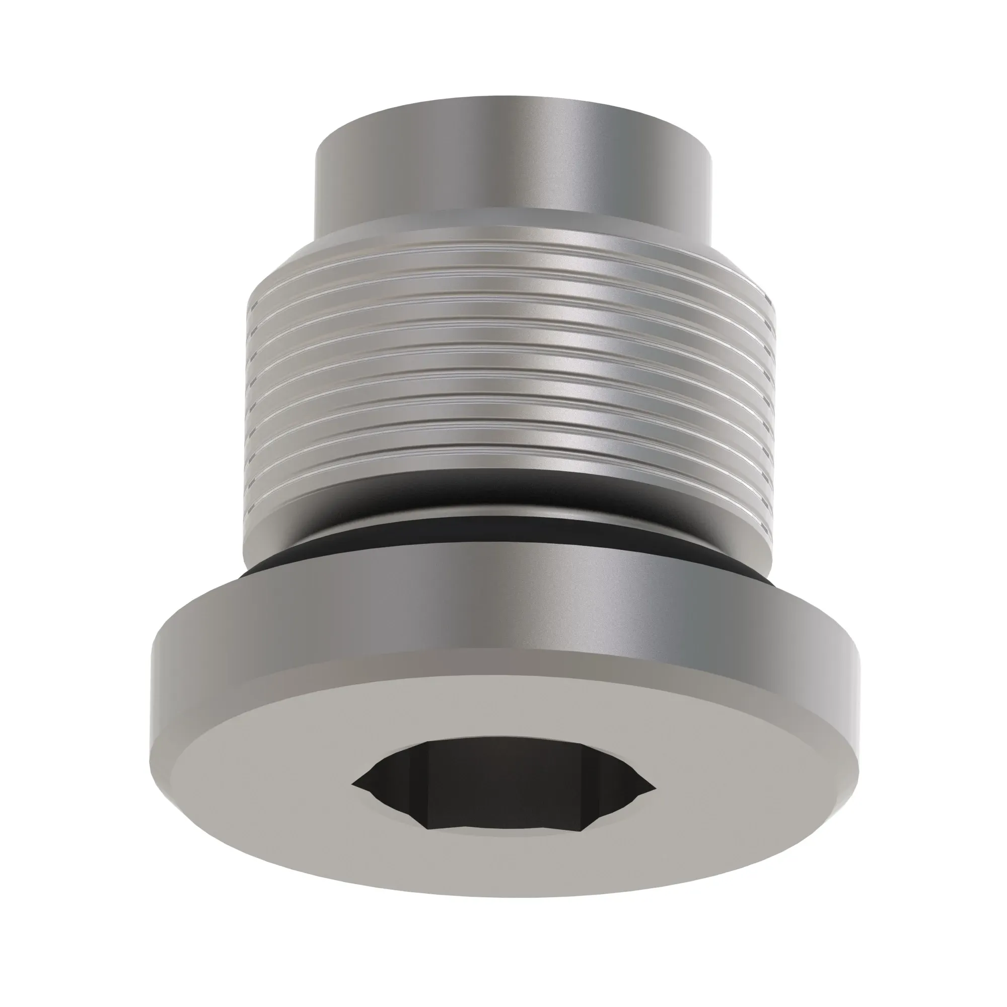 Fitting Plug
