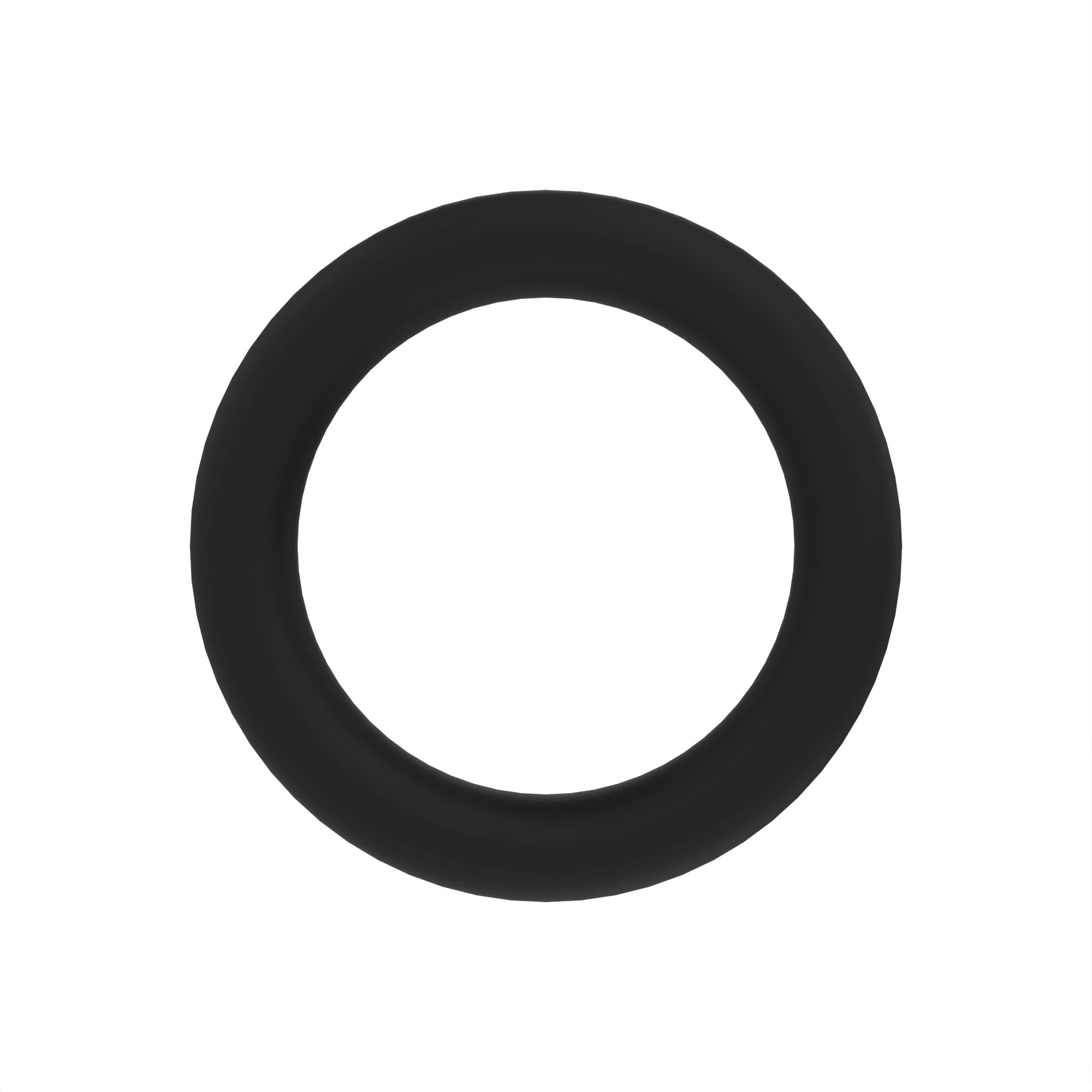 O-Ring