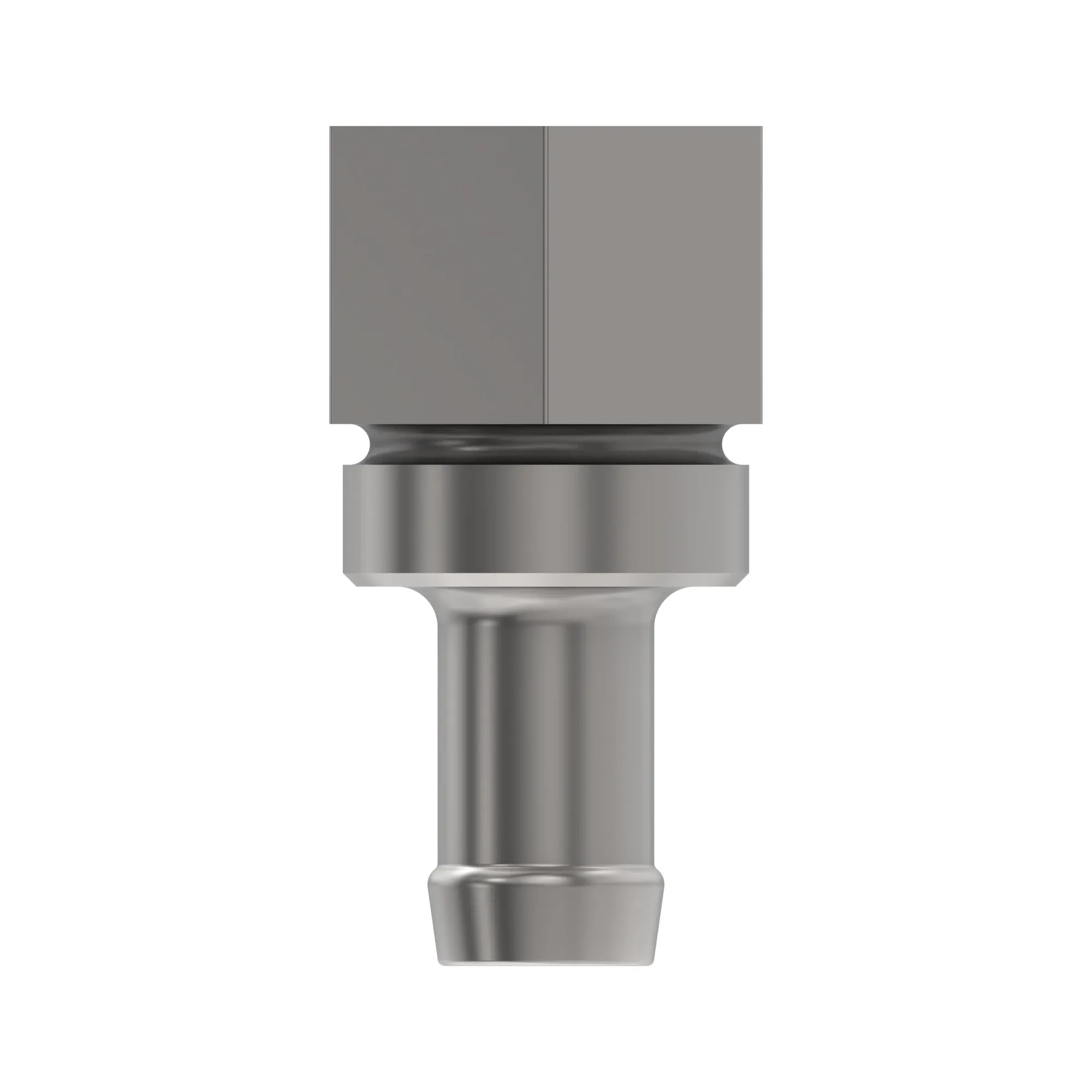 Fittings & Adapters