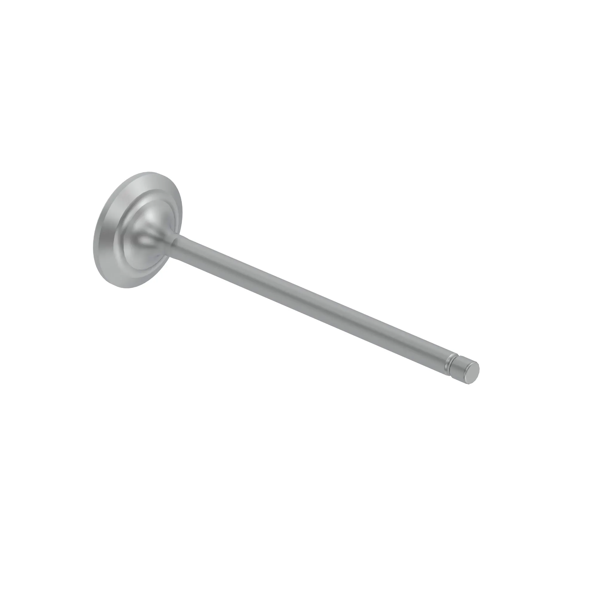 Intake Valve