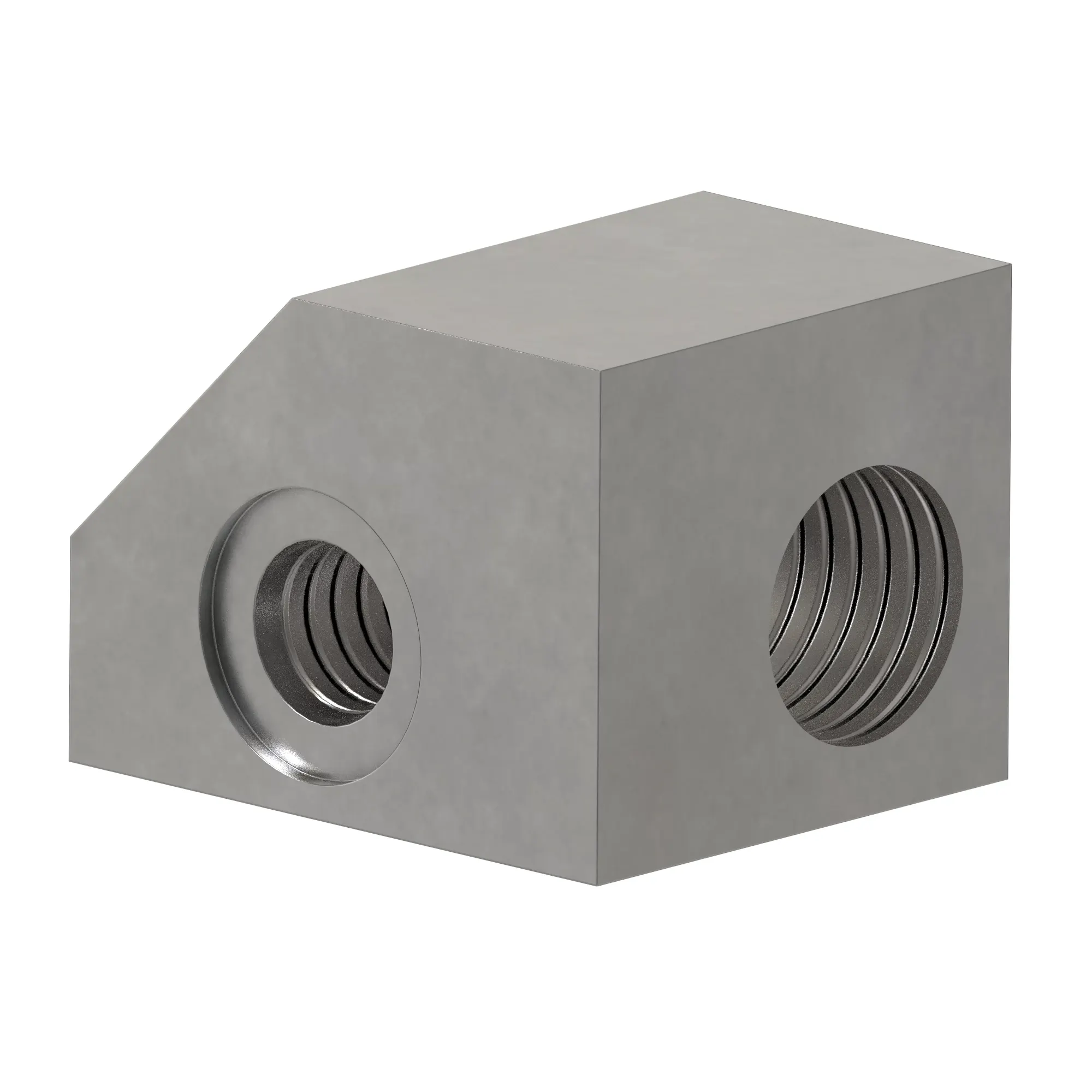 Manifold