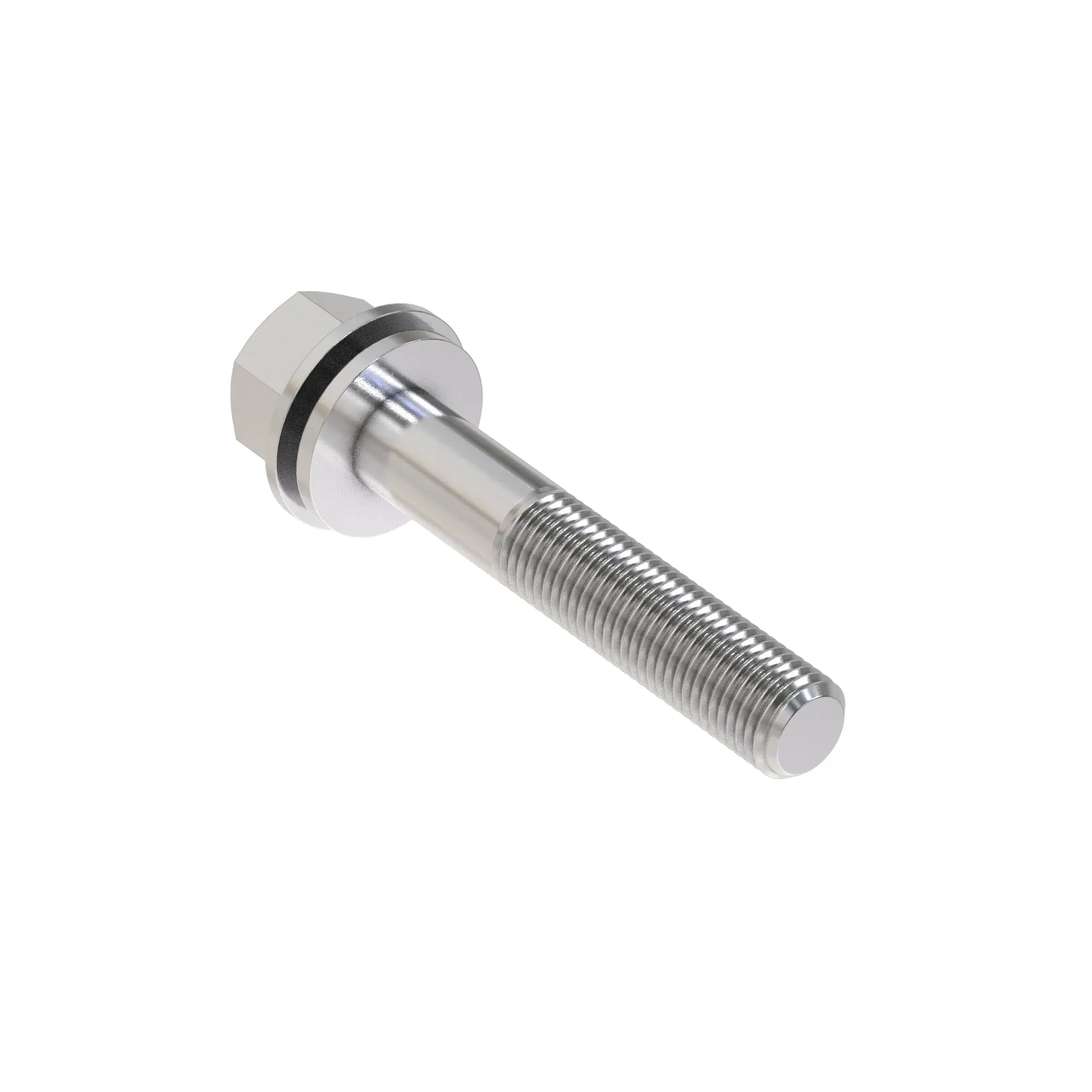 SCREW WITH WASHER