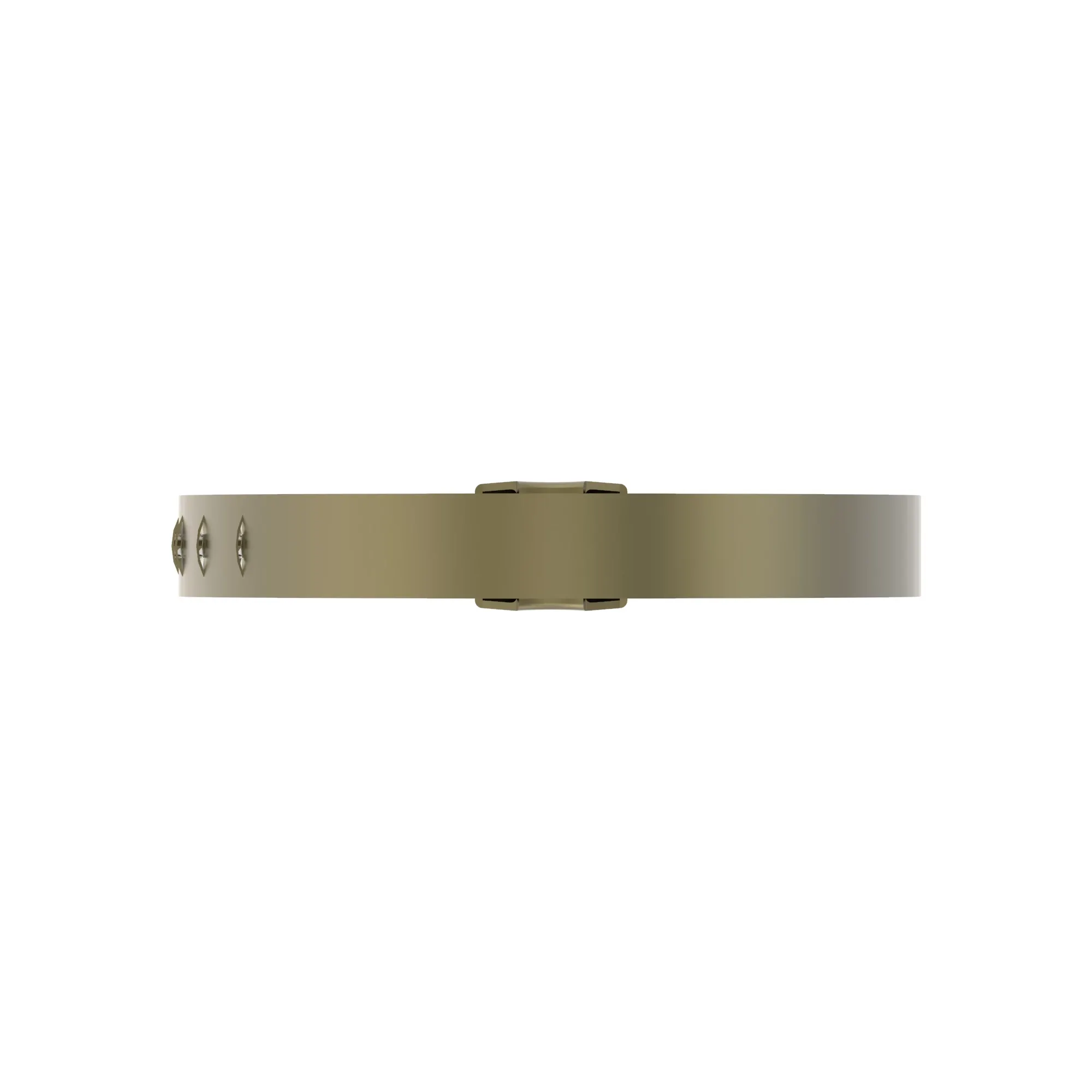 Hose Clamp