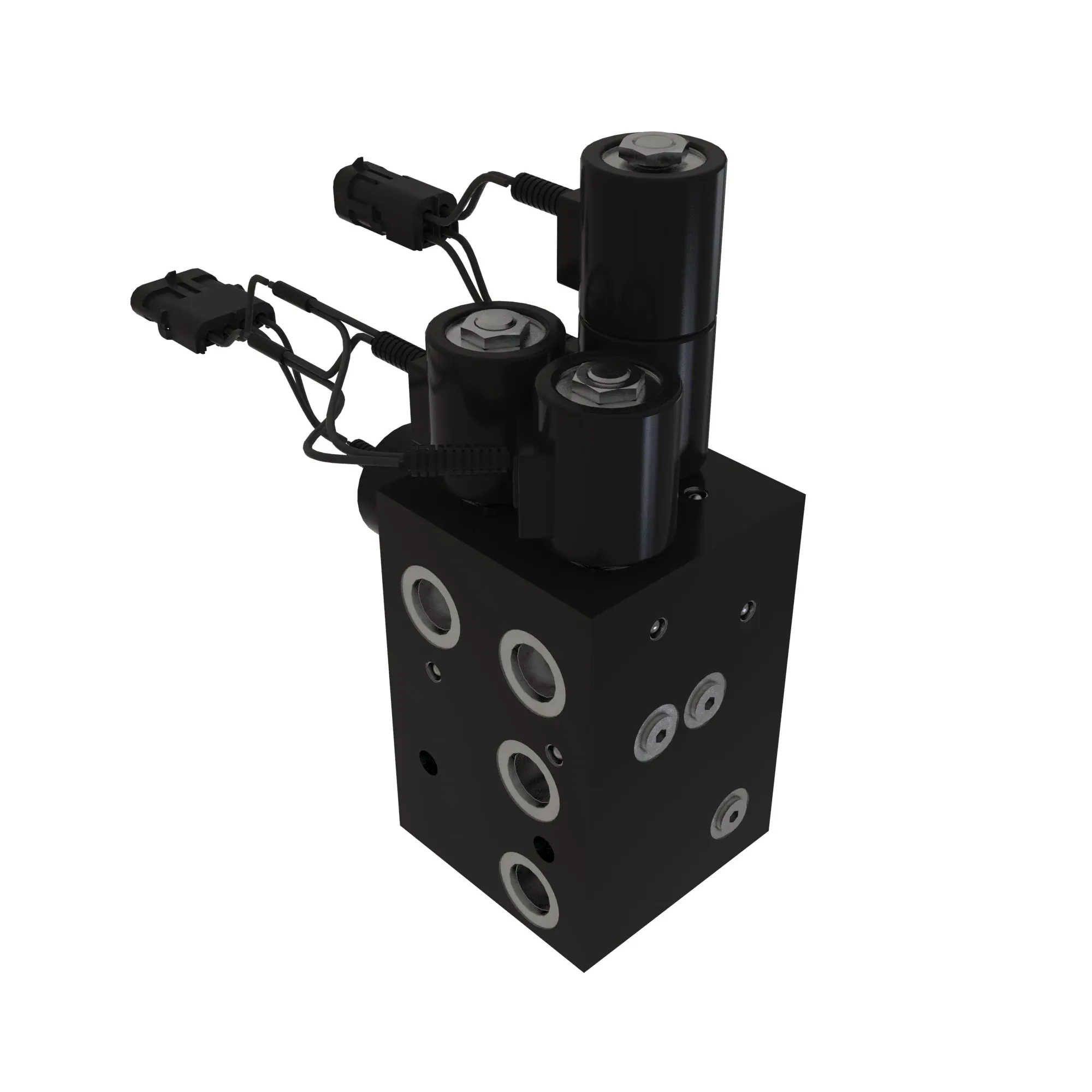 MANIFOLD ASSEMBLY