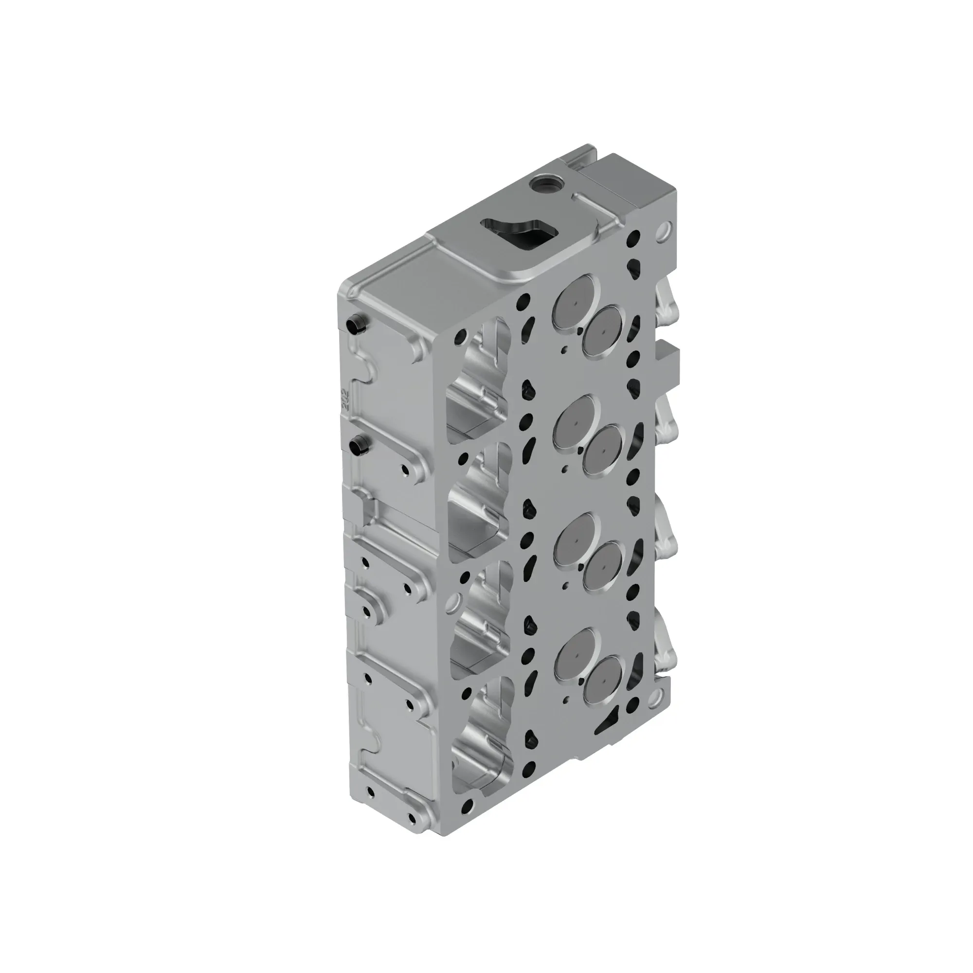 CYLINDER HEAD, WITH VALVES